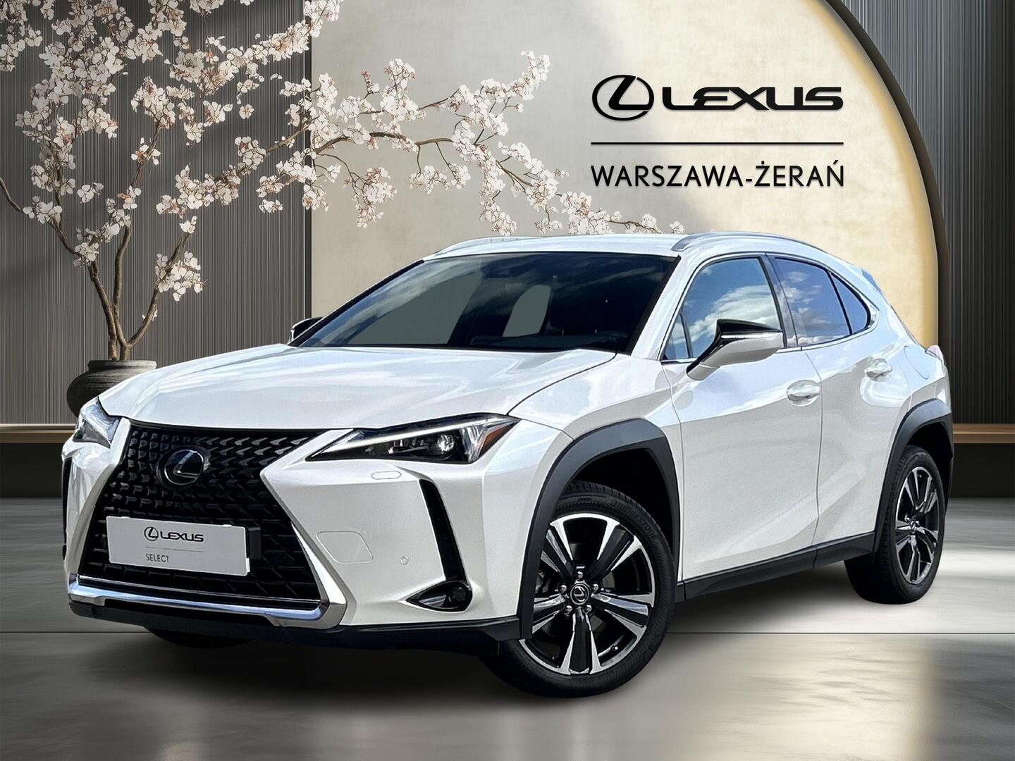 Lexus UX