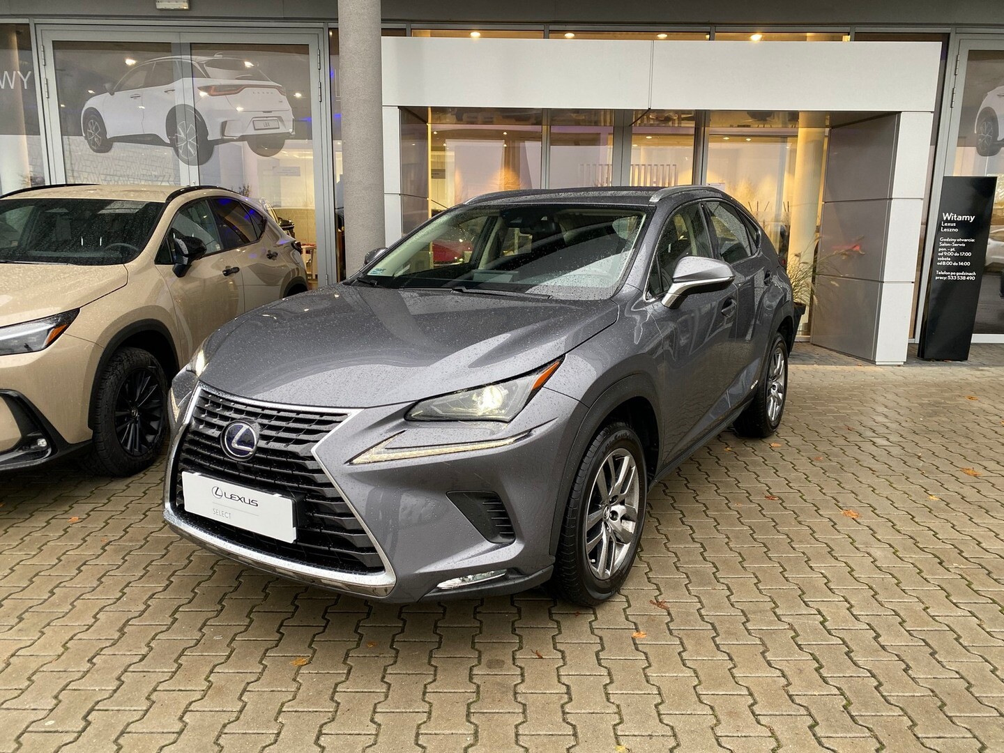 Lexus NX