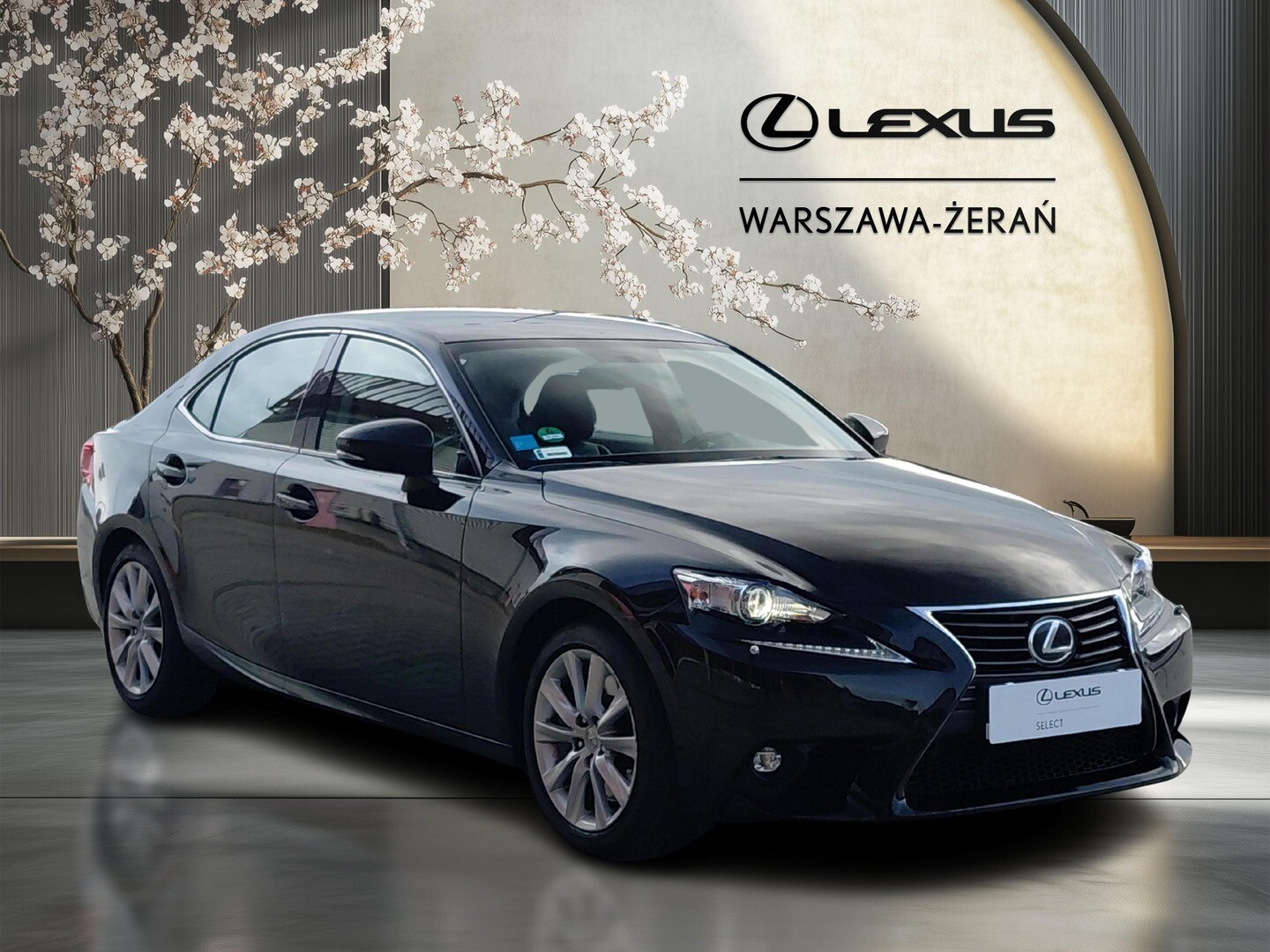 Lexus IS