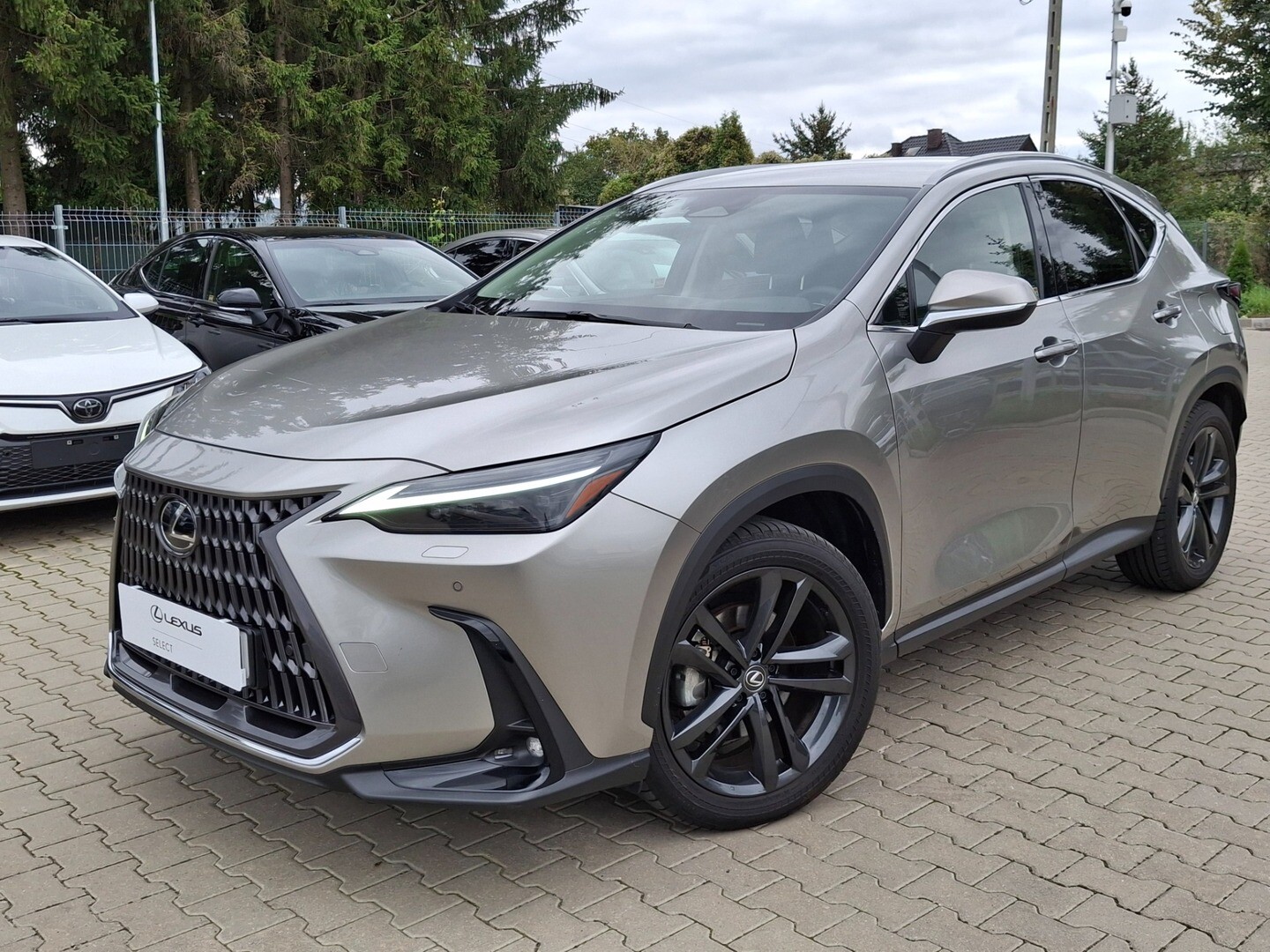 Lexus NX