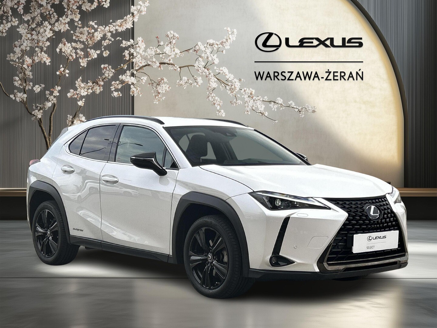 Lexus UX