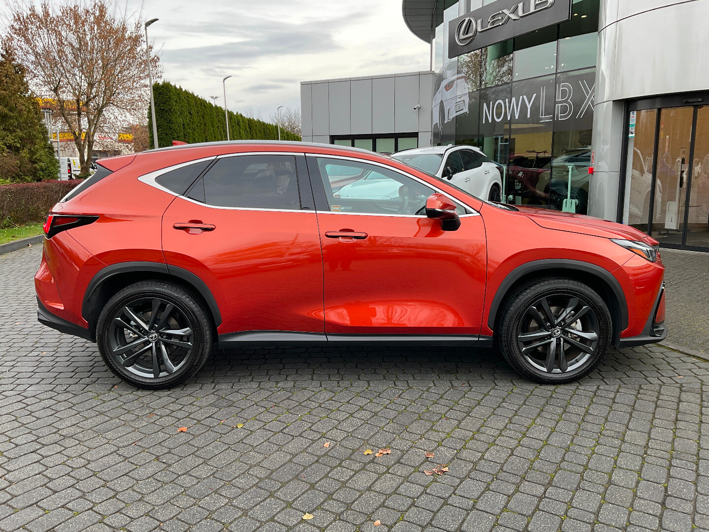 Lexus NX