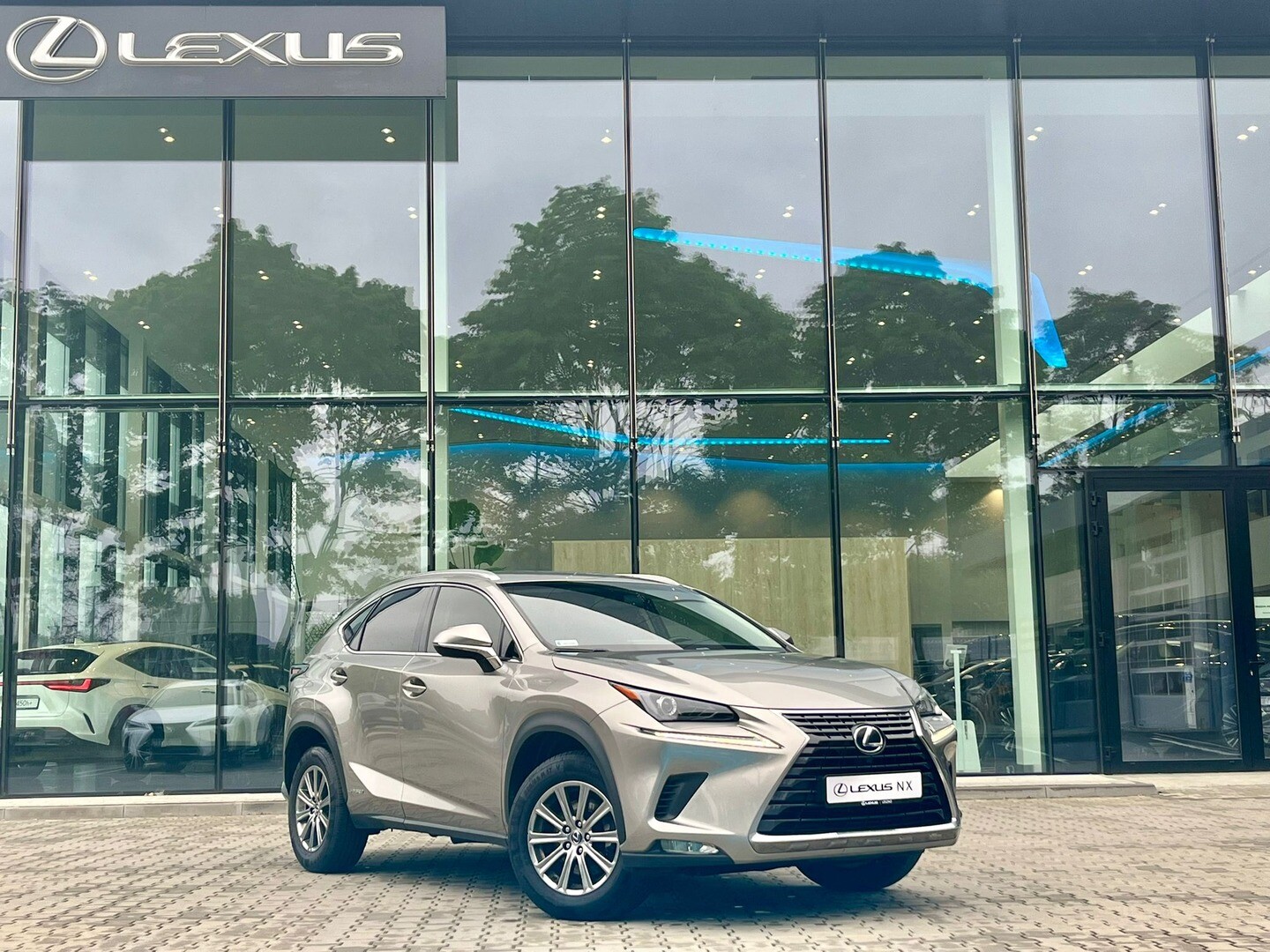 Lexus NX