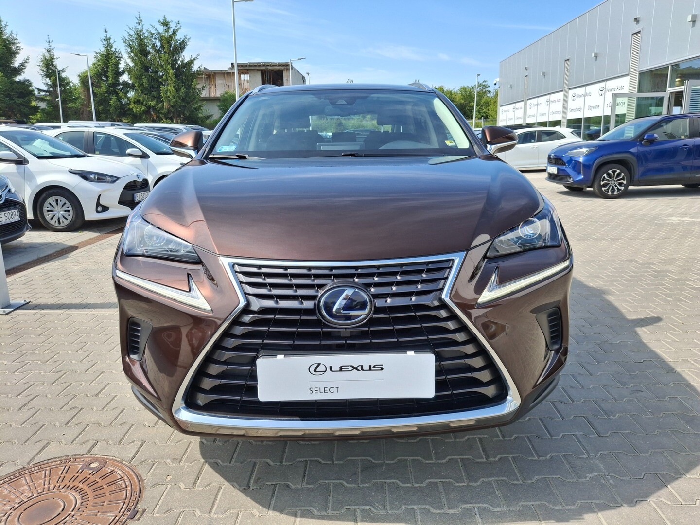 Lexus NX