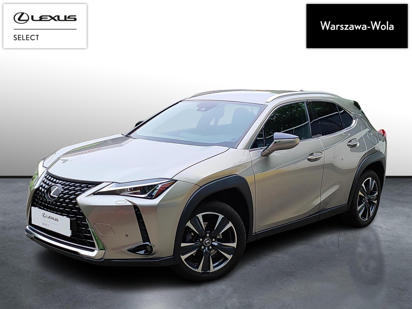 Lexus UX