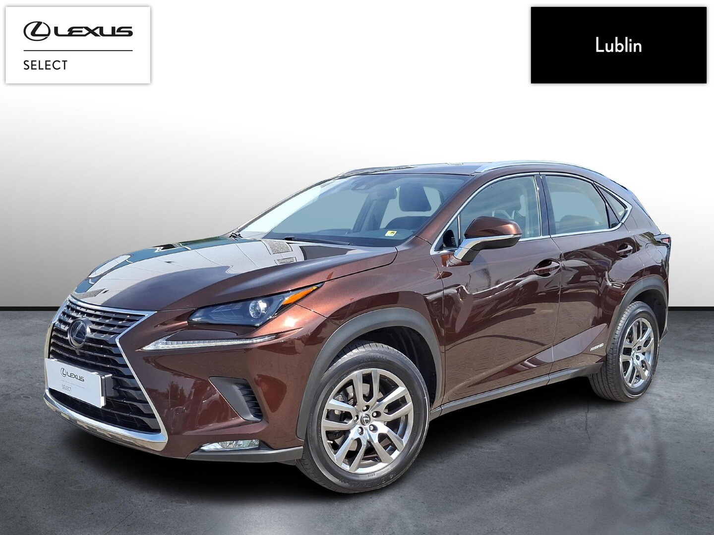 Lexus NX