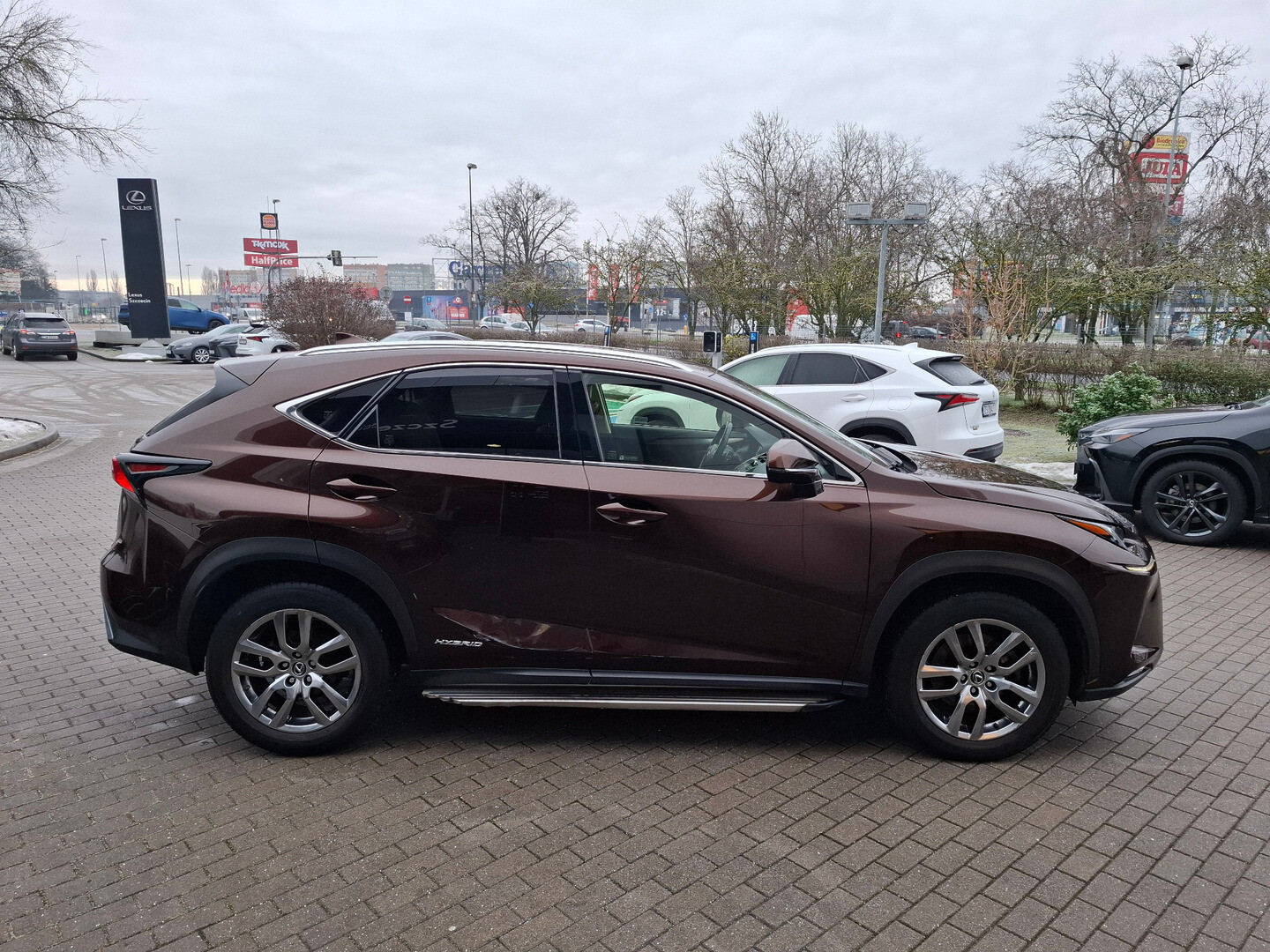 Lexus NX