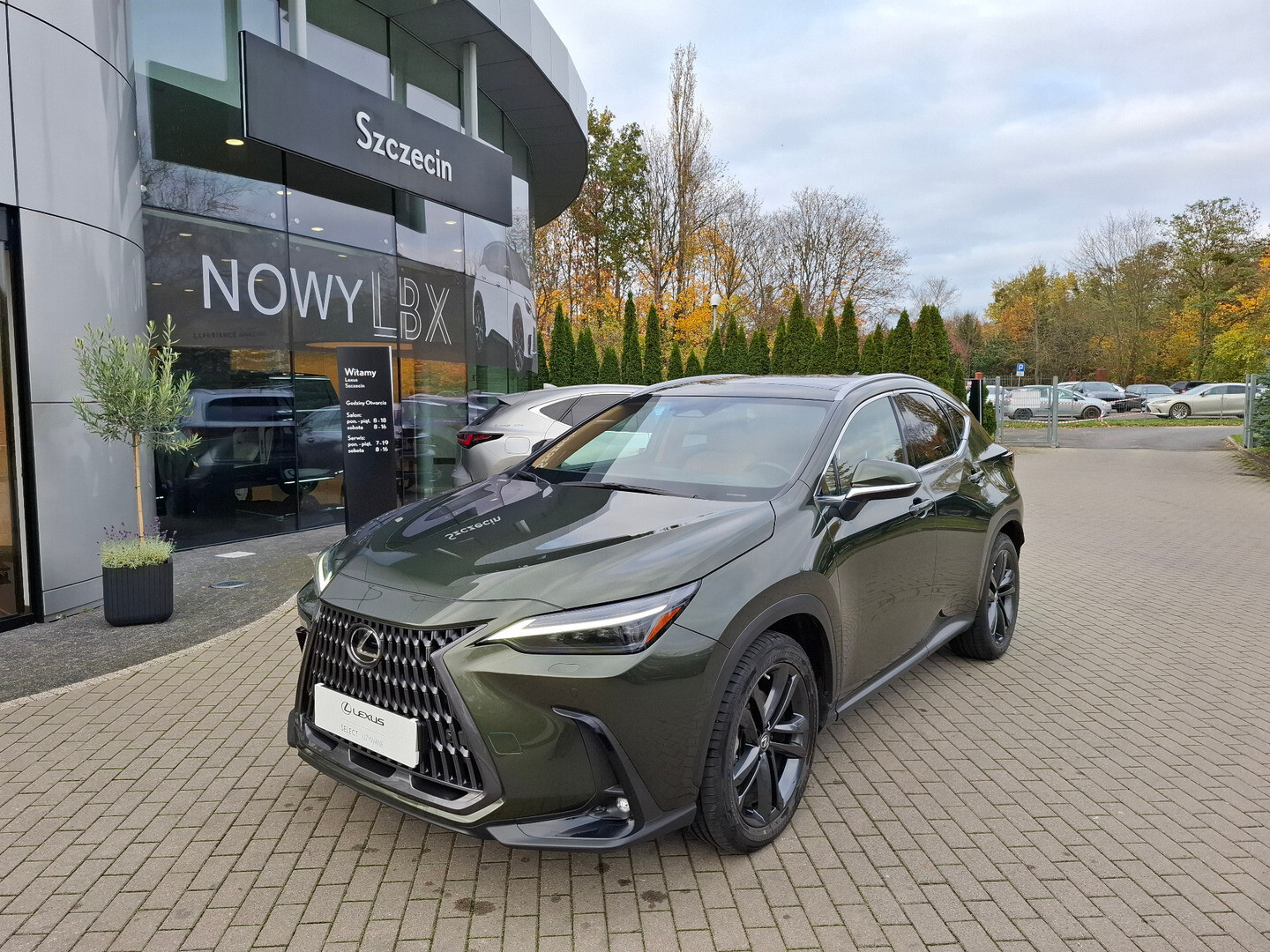 Lexus NX