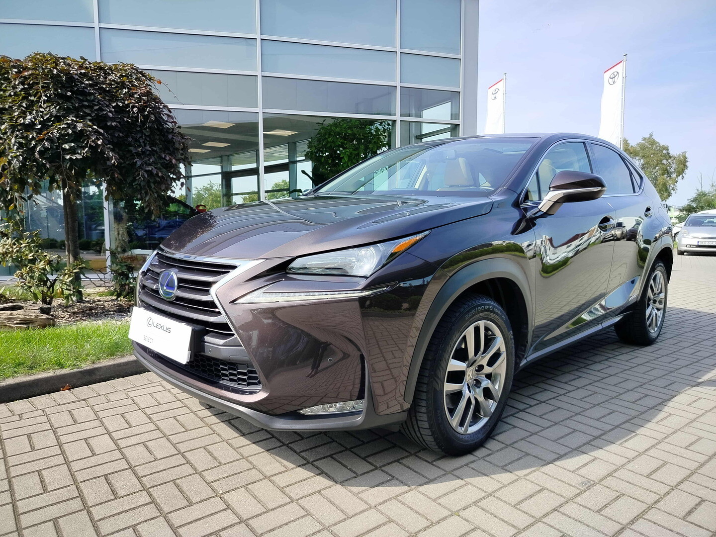 Lexus NX