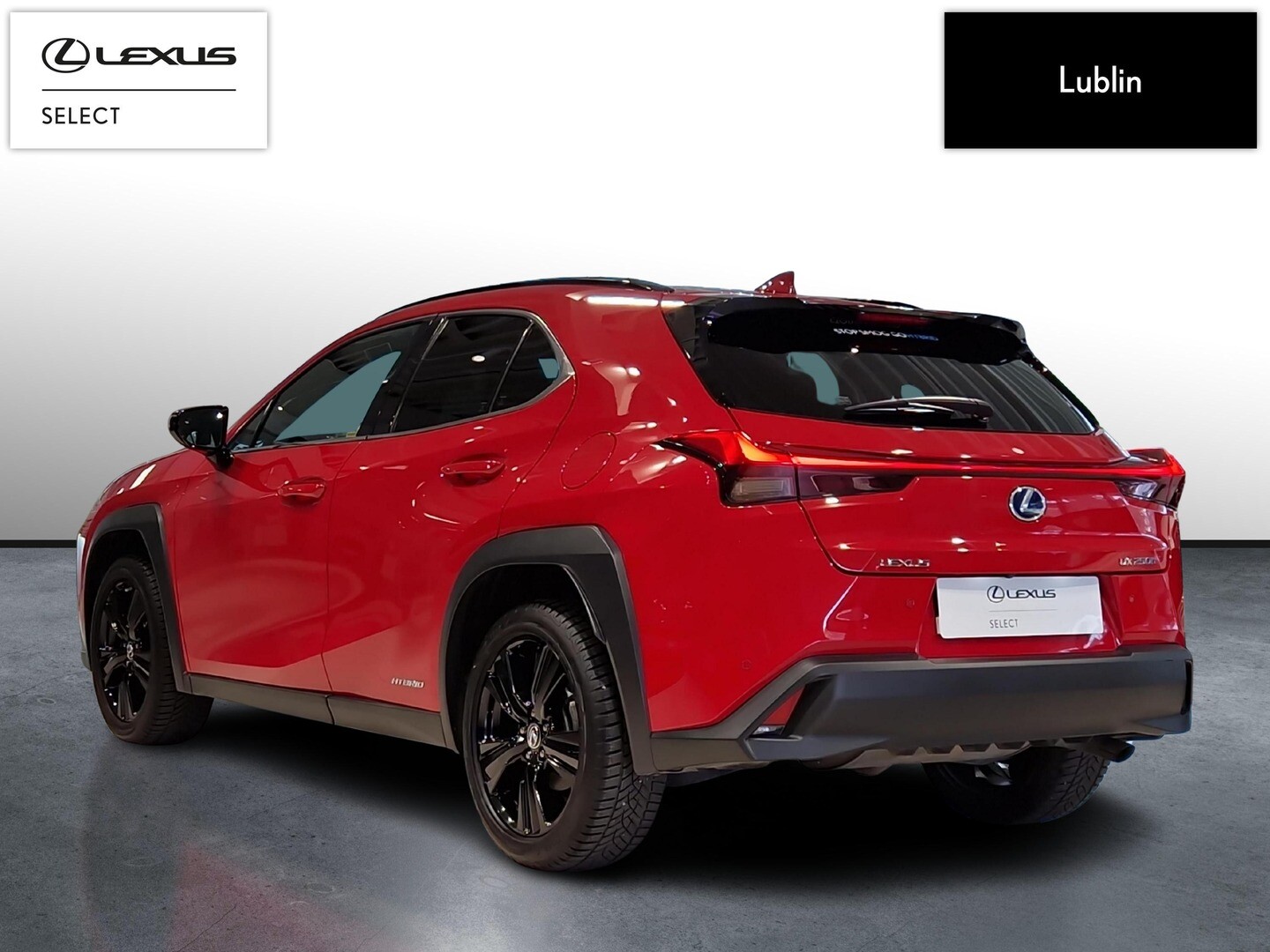 Lexus UX