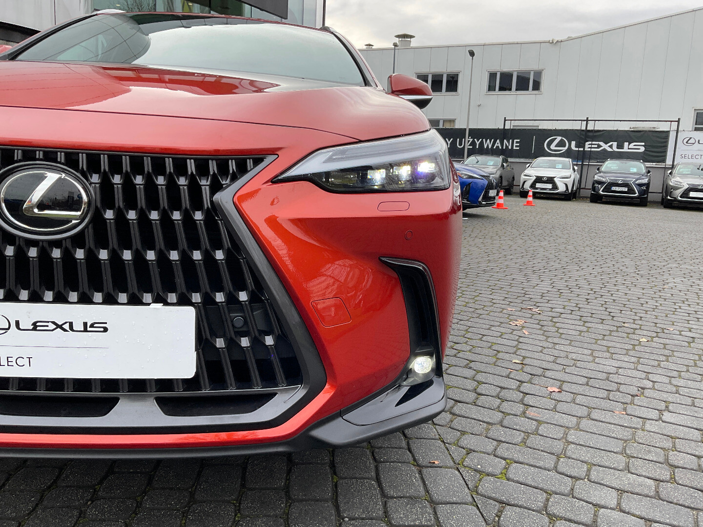 Lexus NX