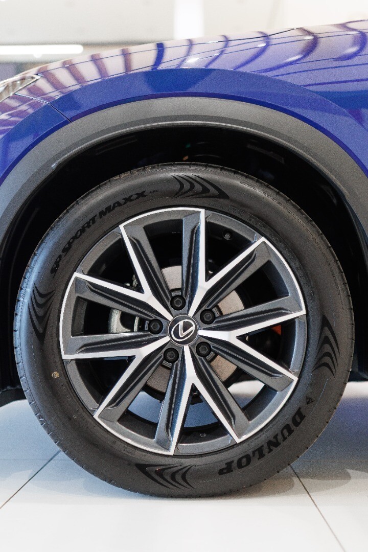 Lexus Inny