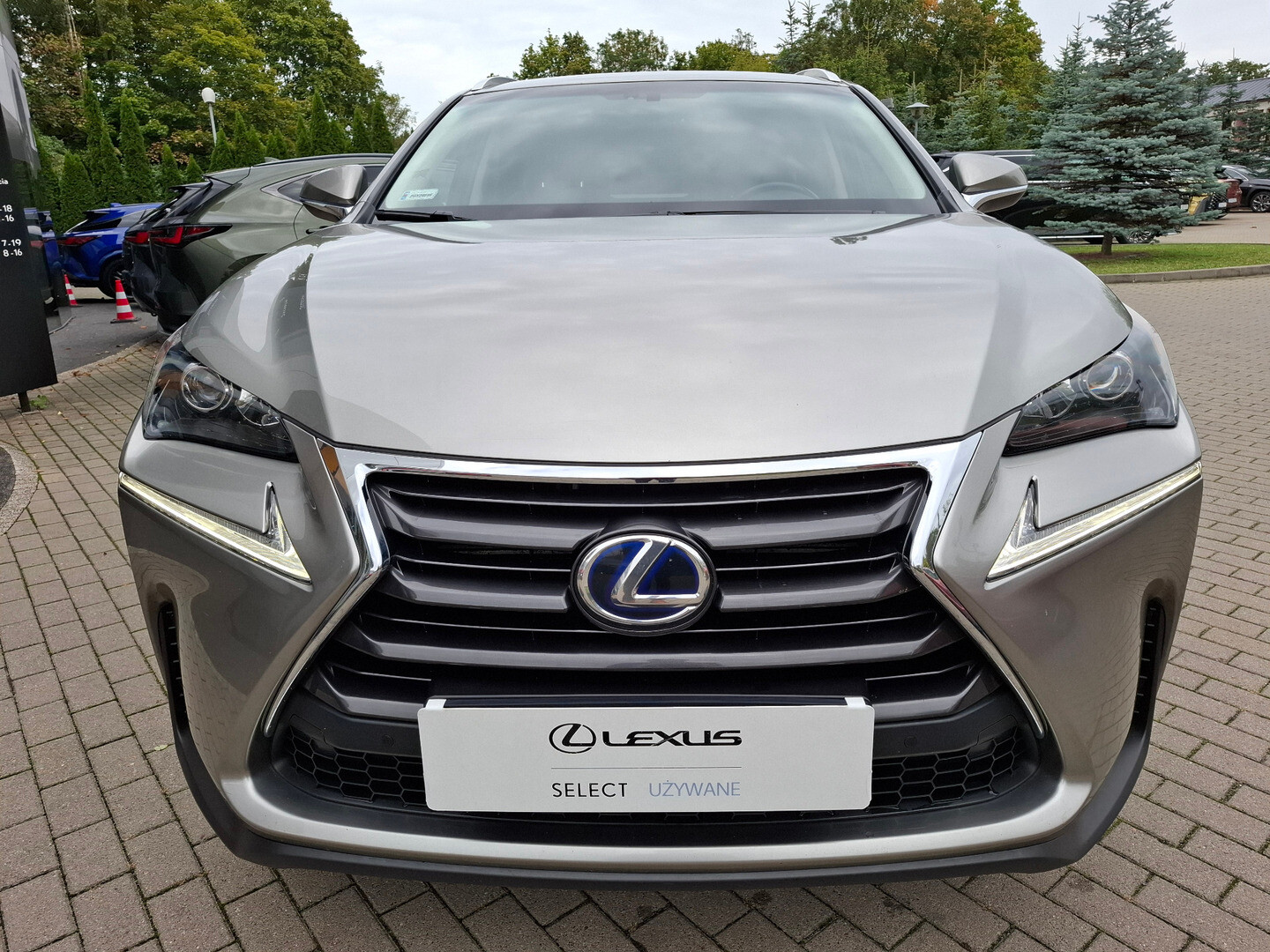 Lexus NX