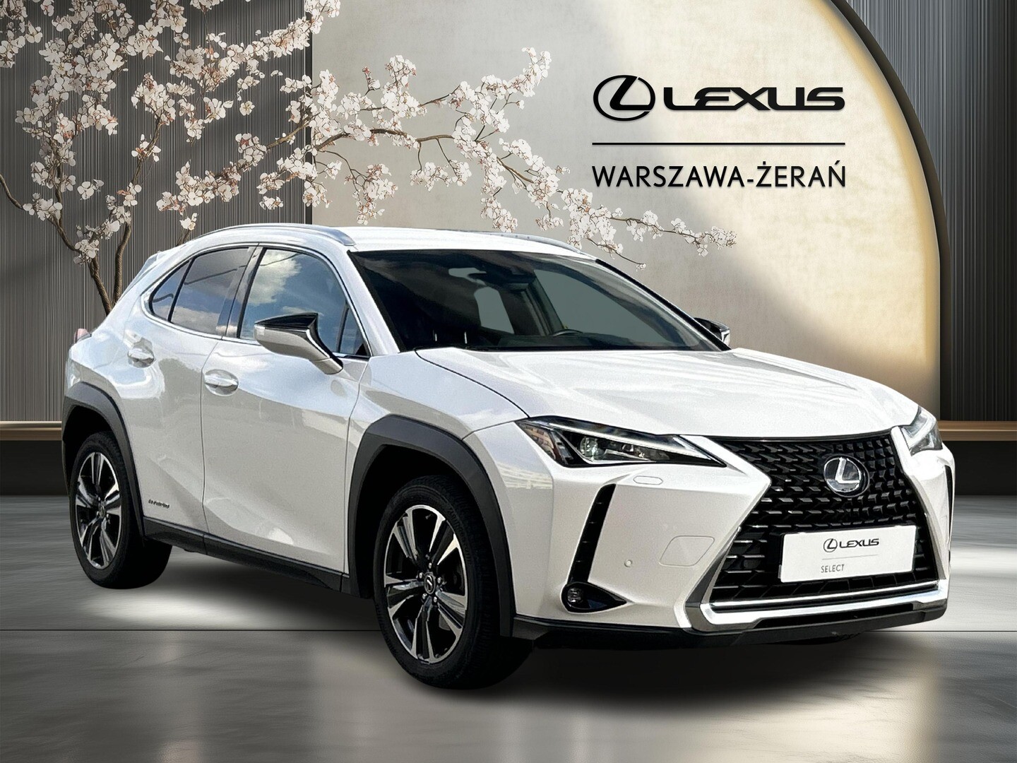 Lexus UX
