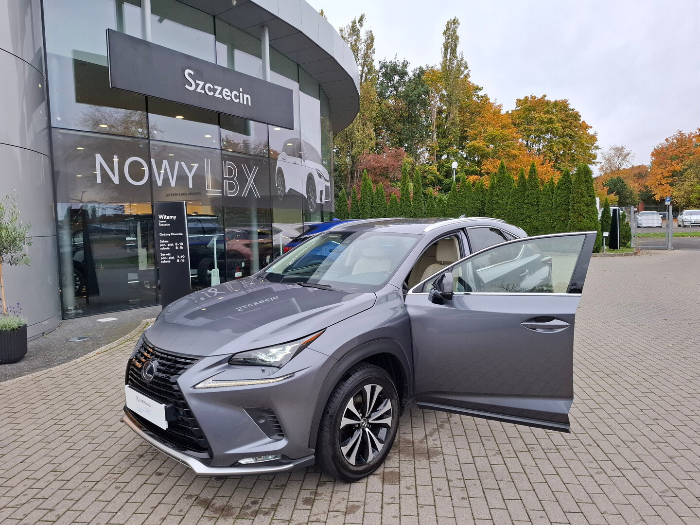 Lexus NX