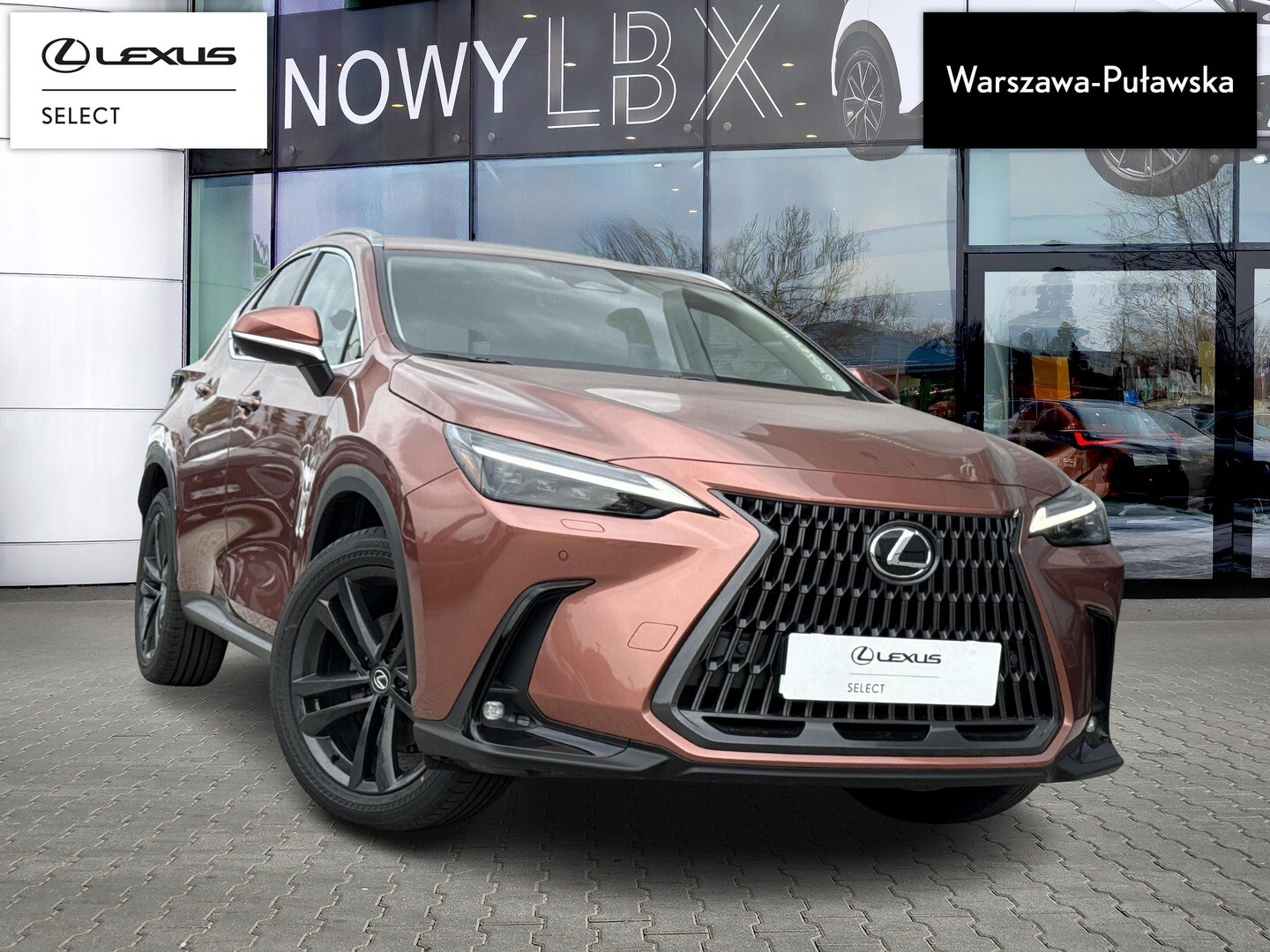 Lexus NX