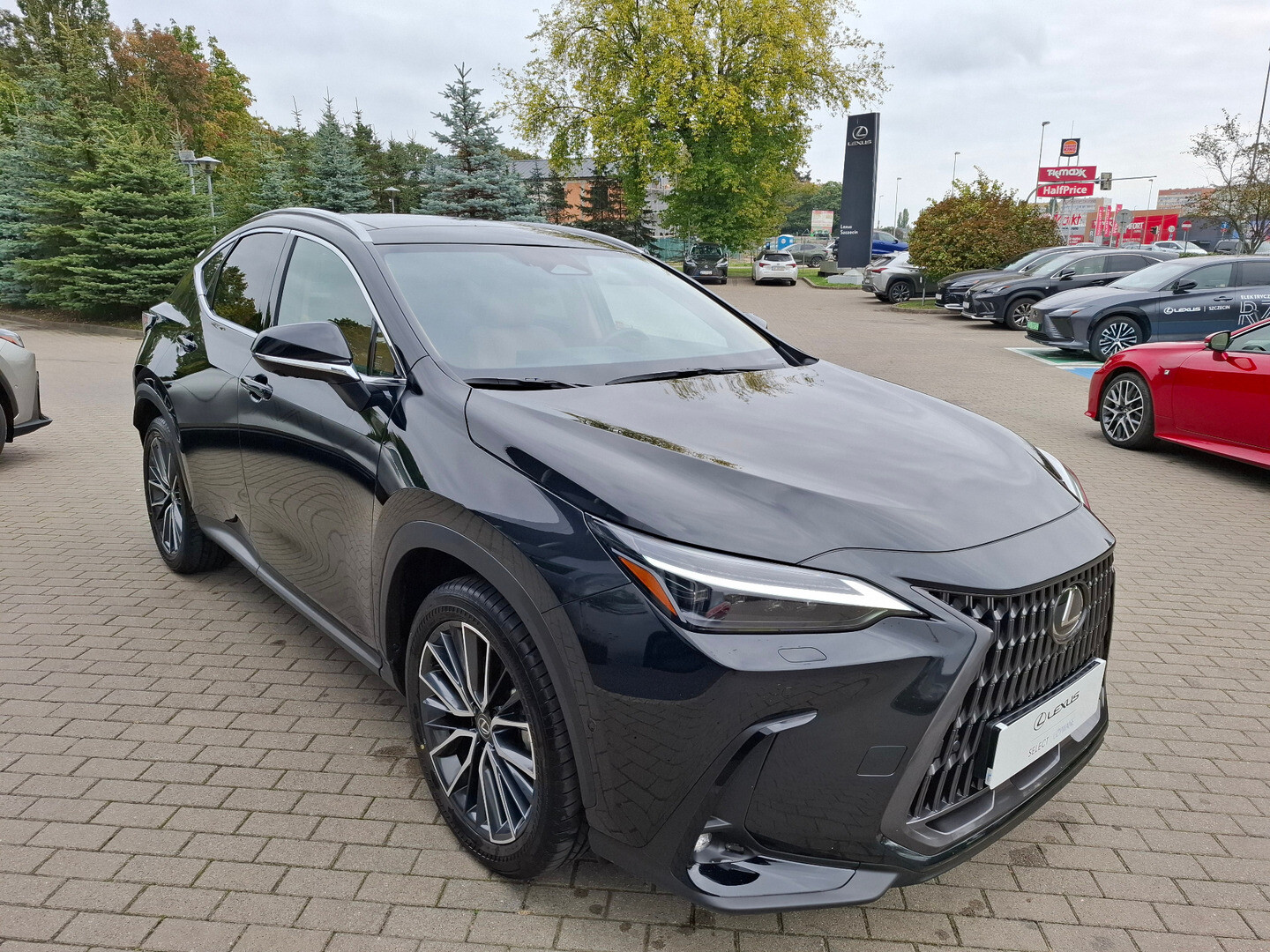 Lexus NX