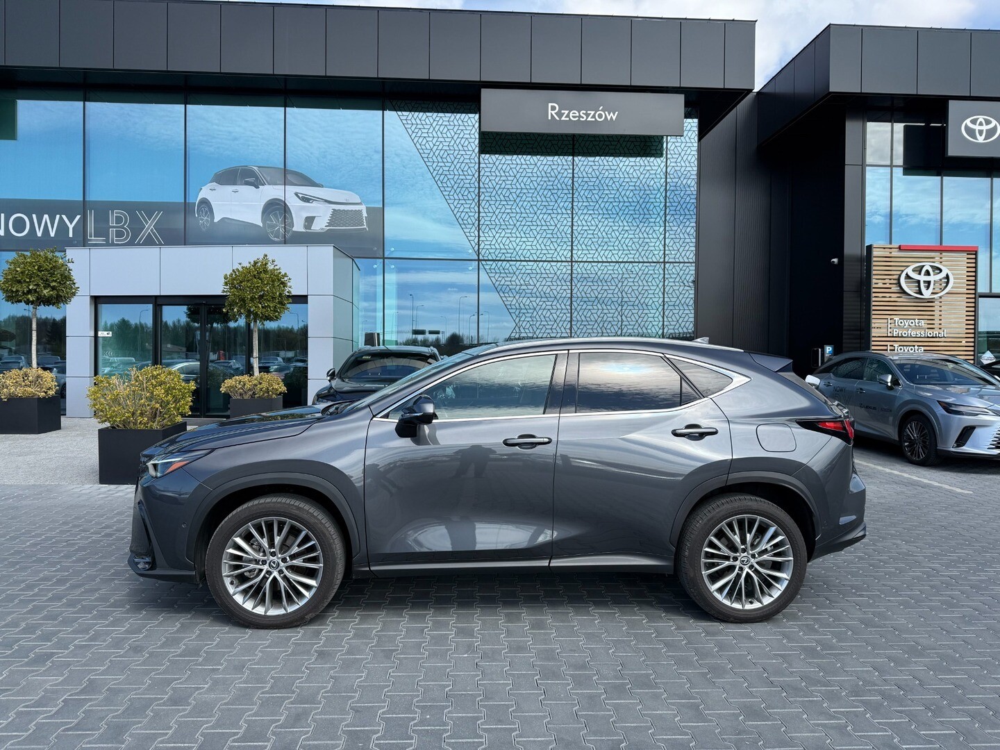 Lexus NX