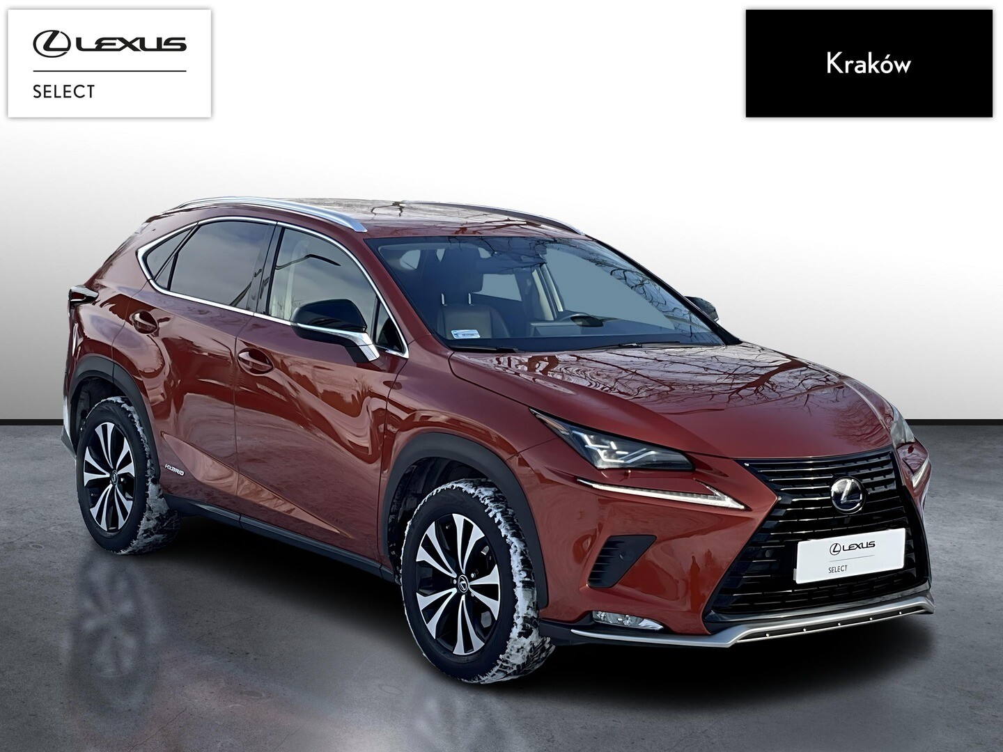 Lexus NX