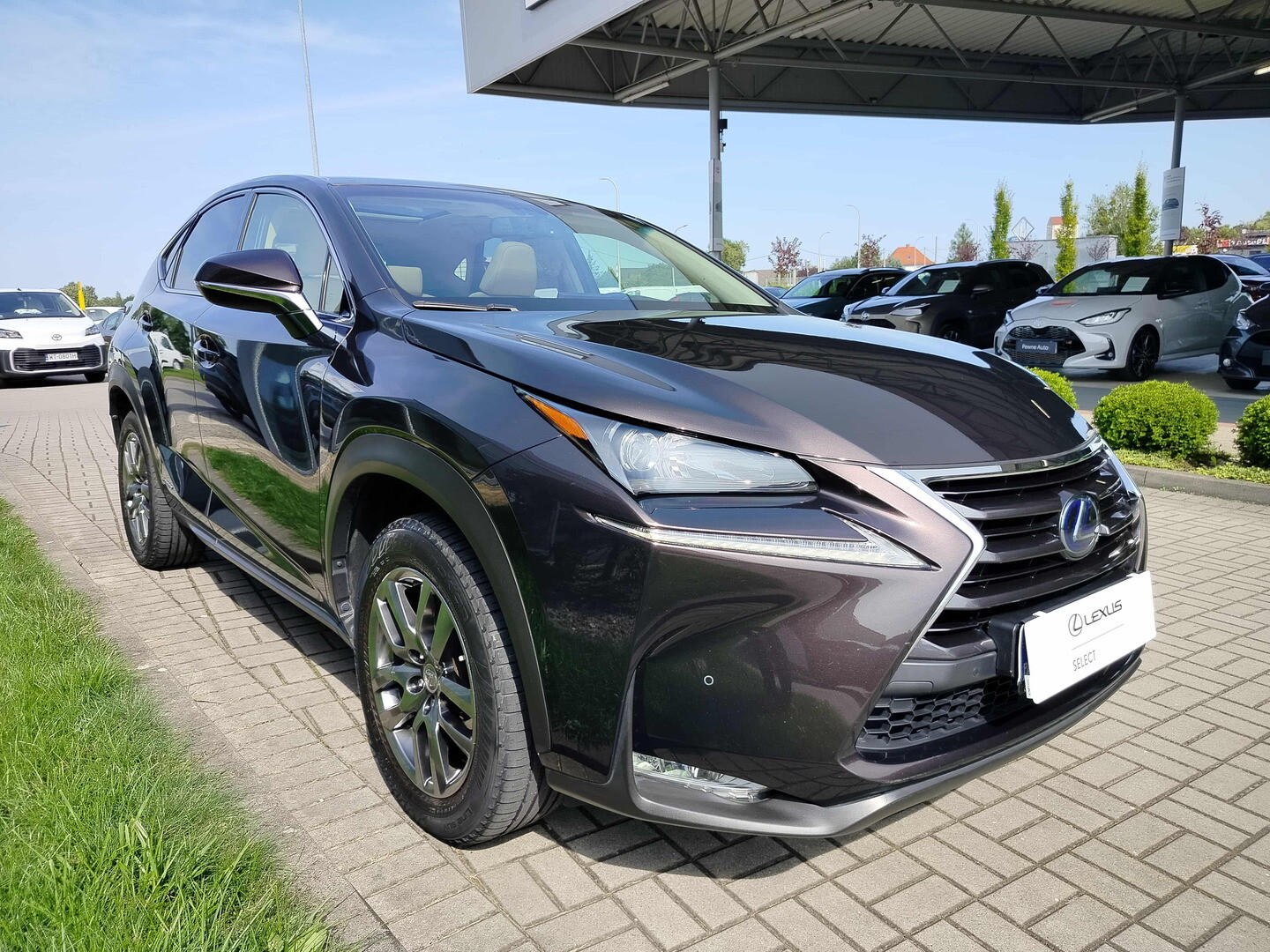 Lexus NX
