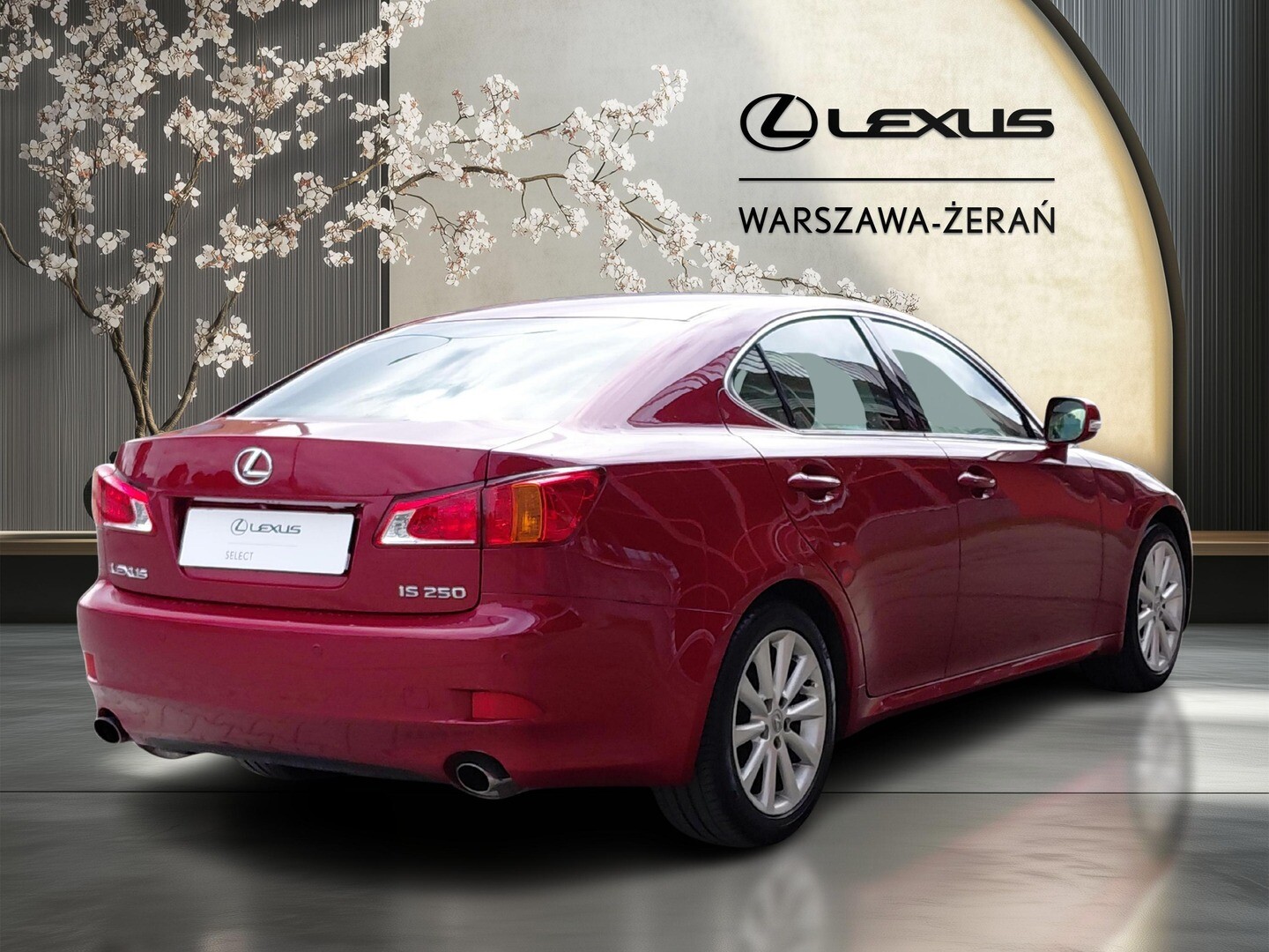 Lexus IS