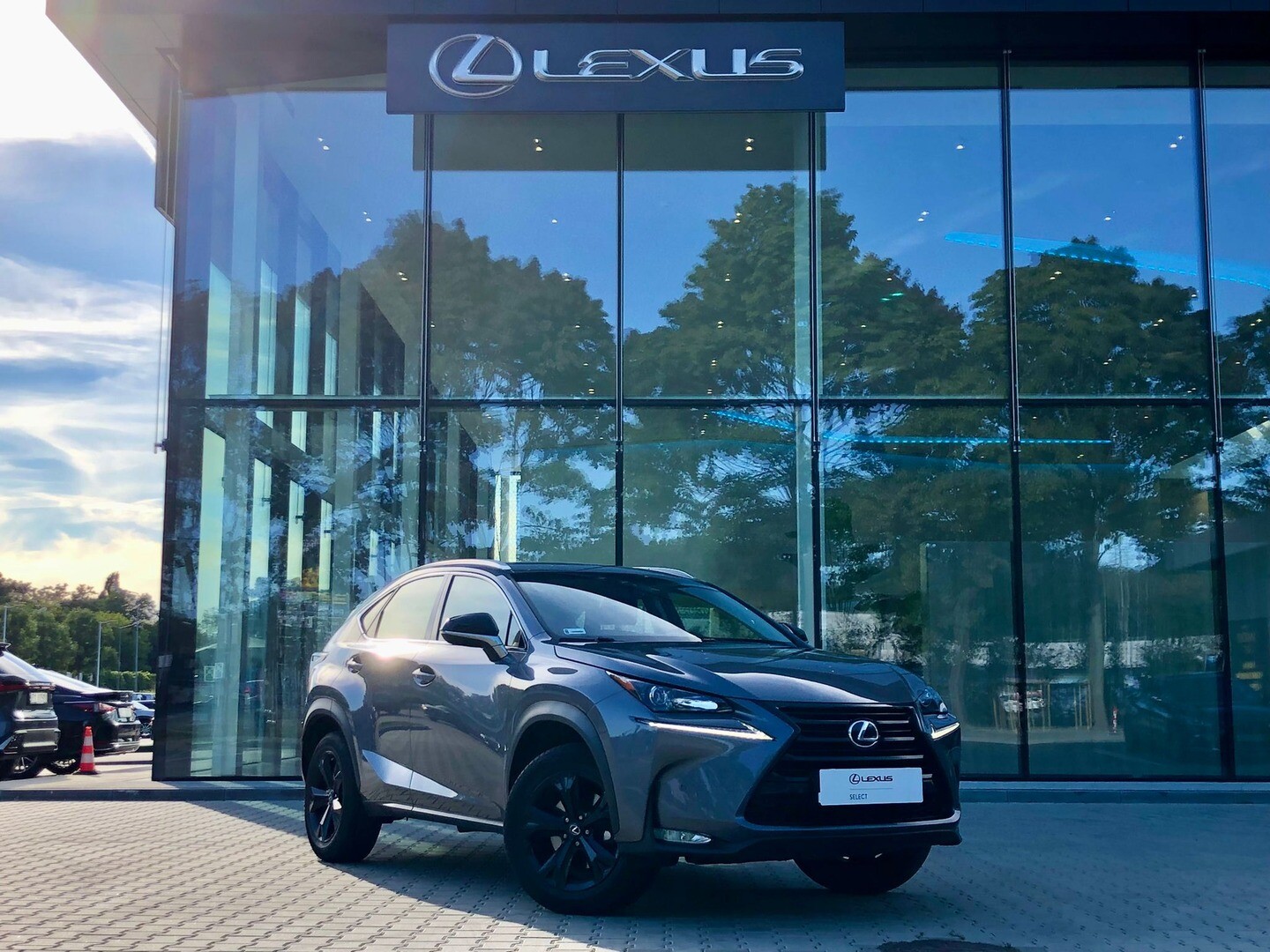 Lexus NX