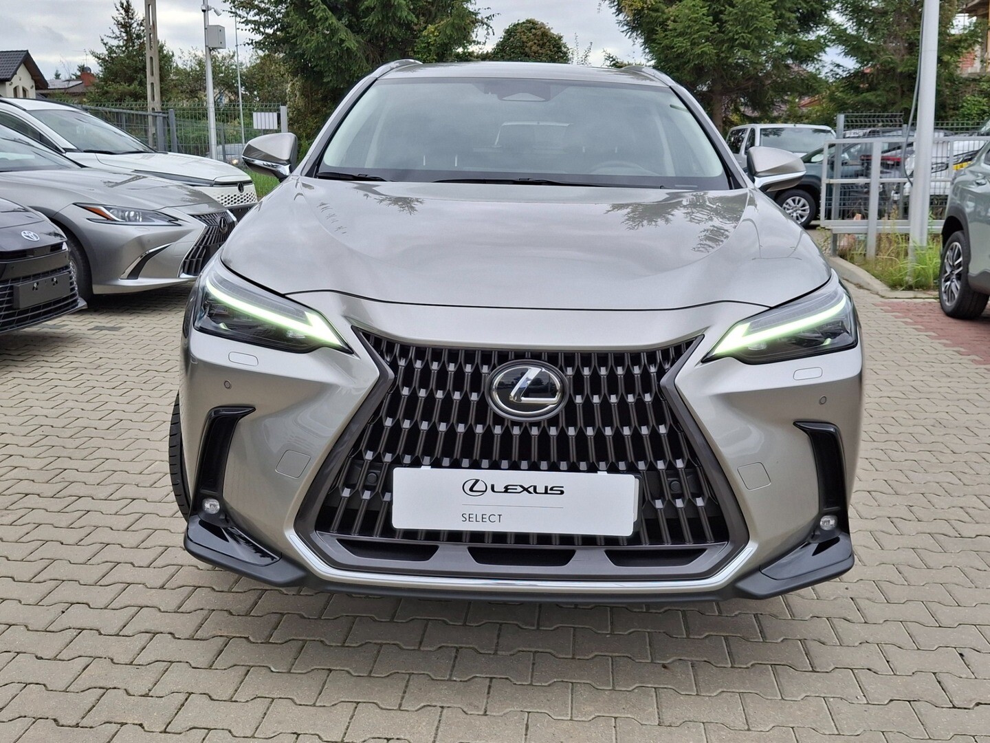 Lexus NX
