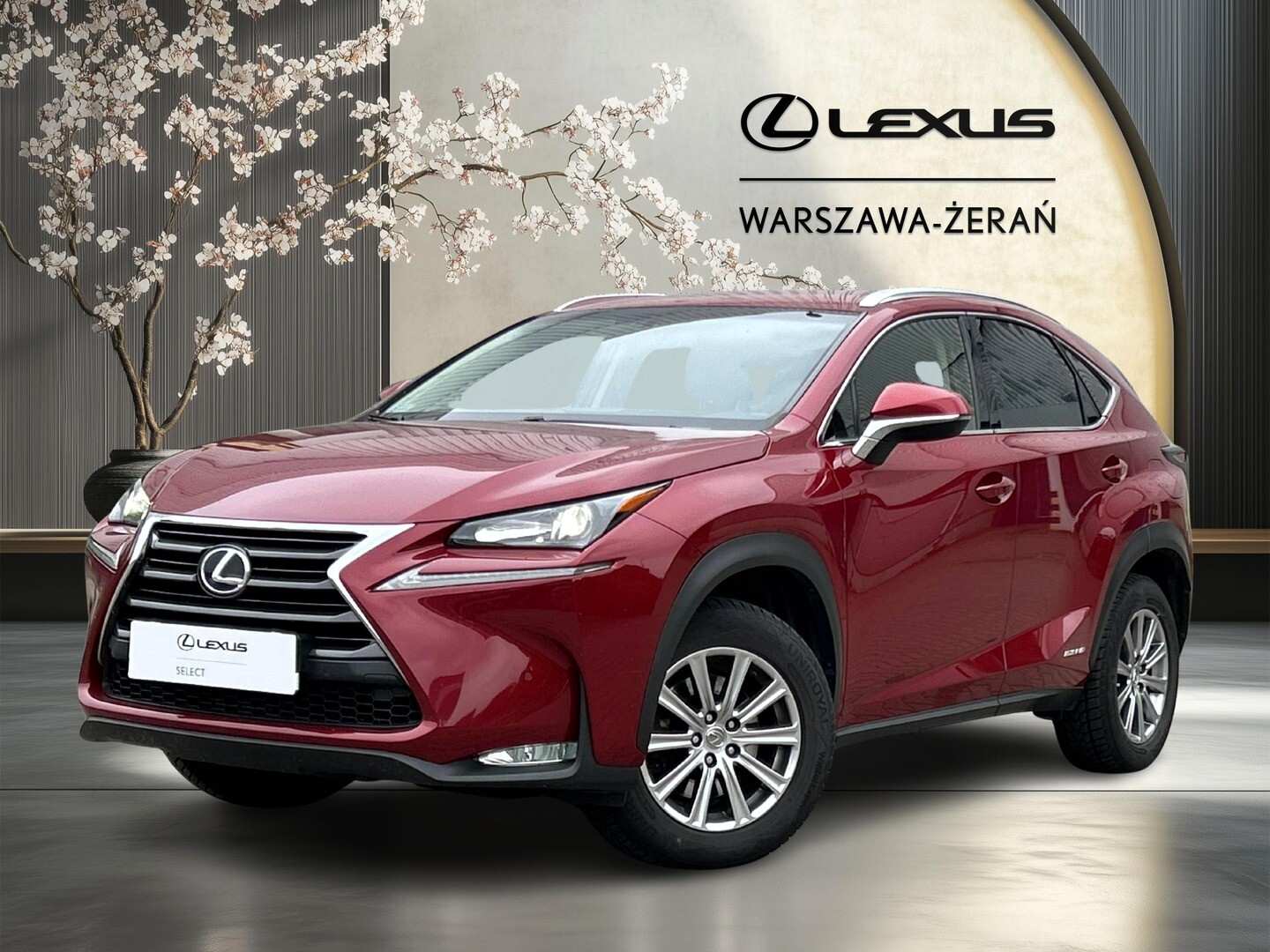 Lexus NX