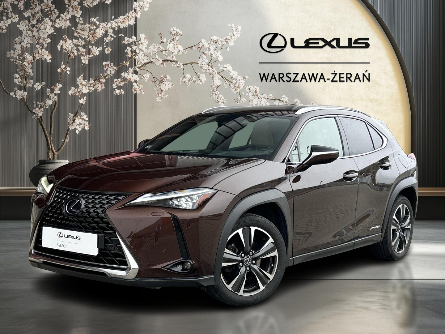 Lexus UX