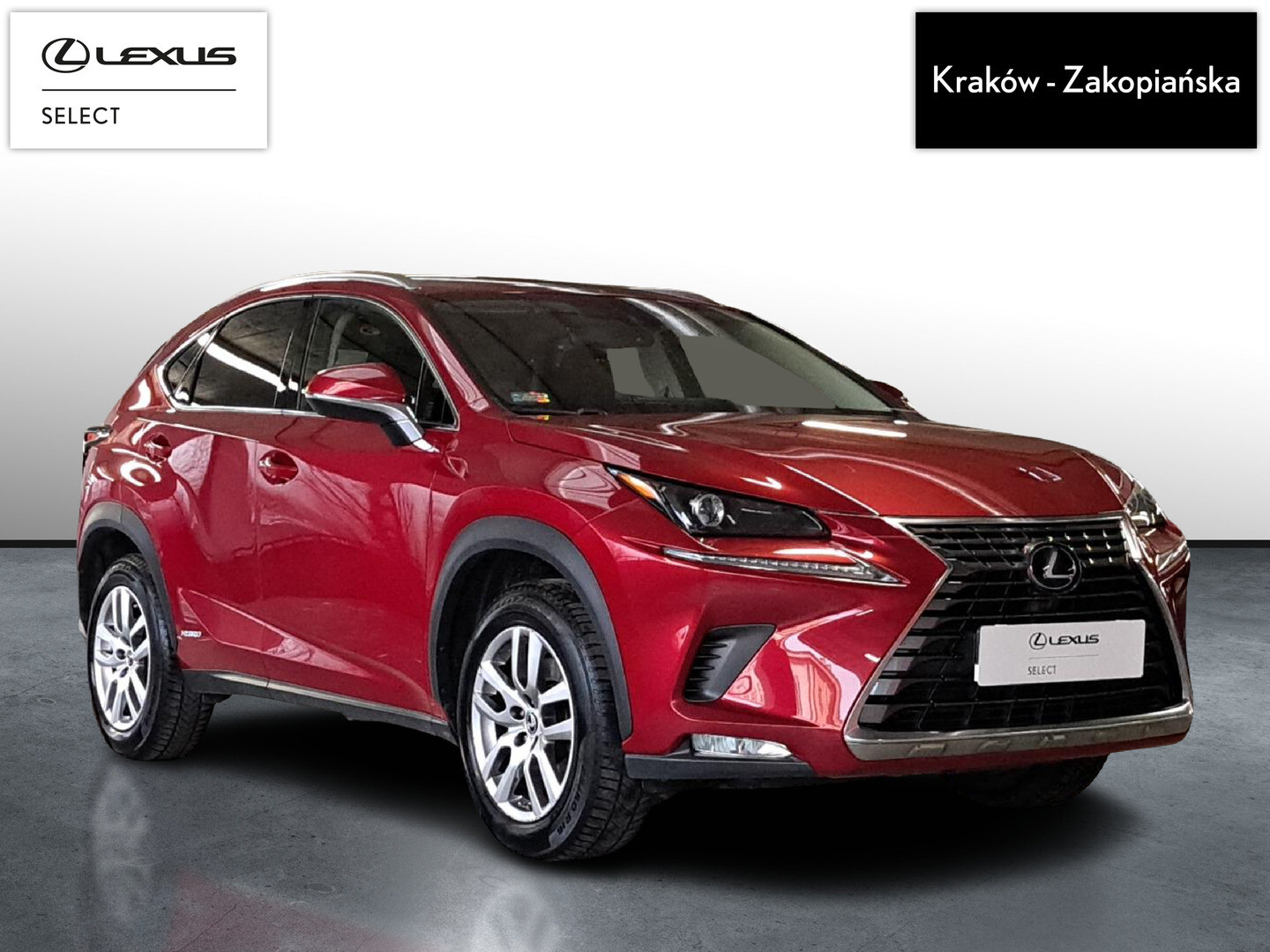 Lexus NX