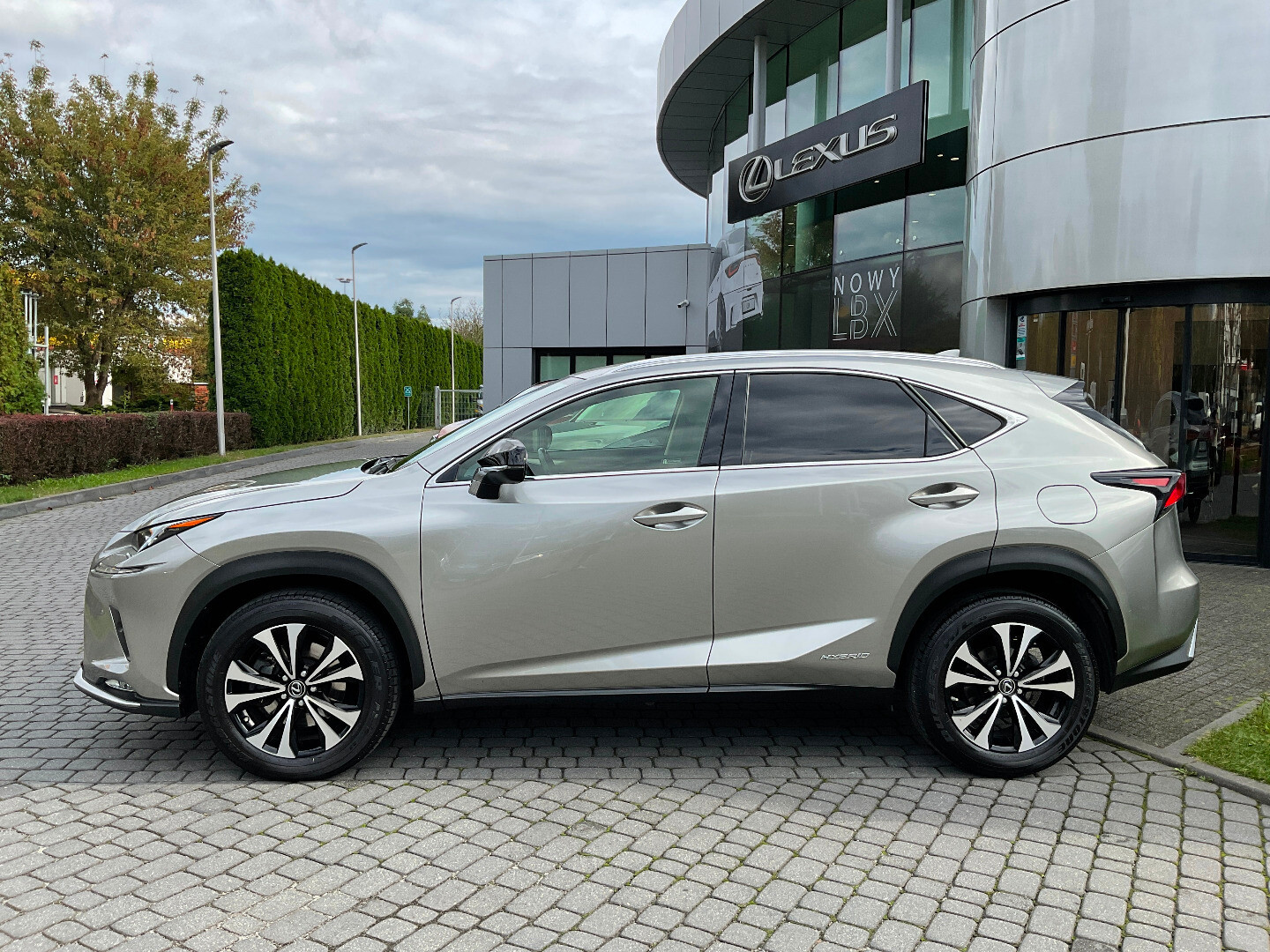 Lexus NX