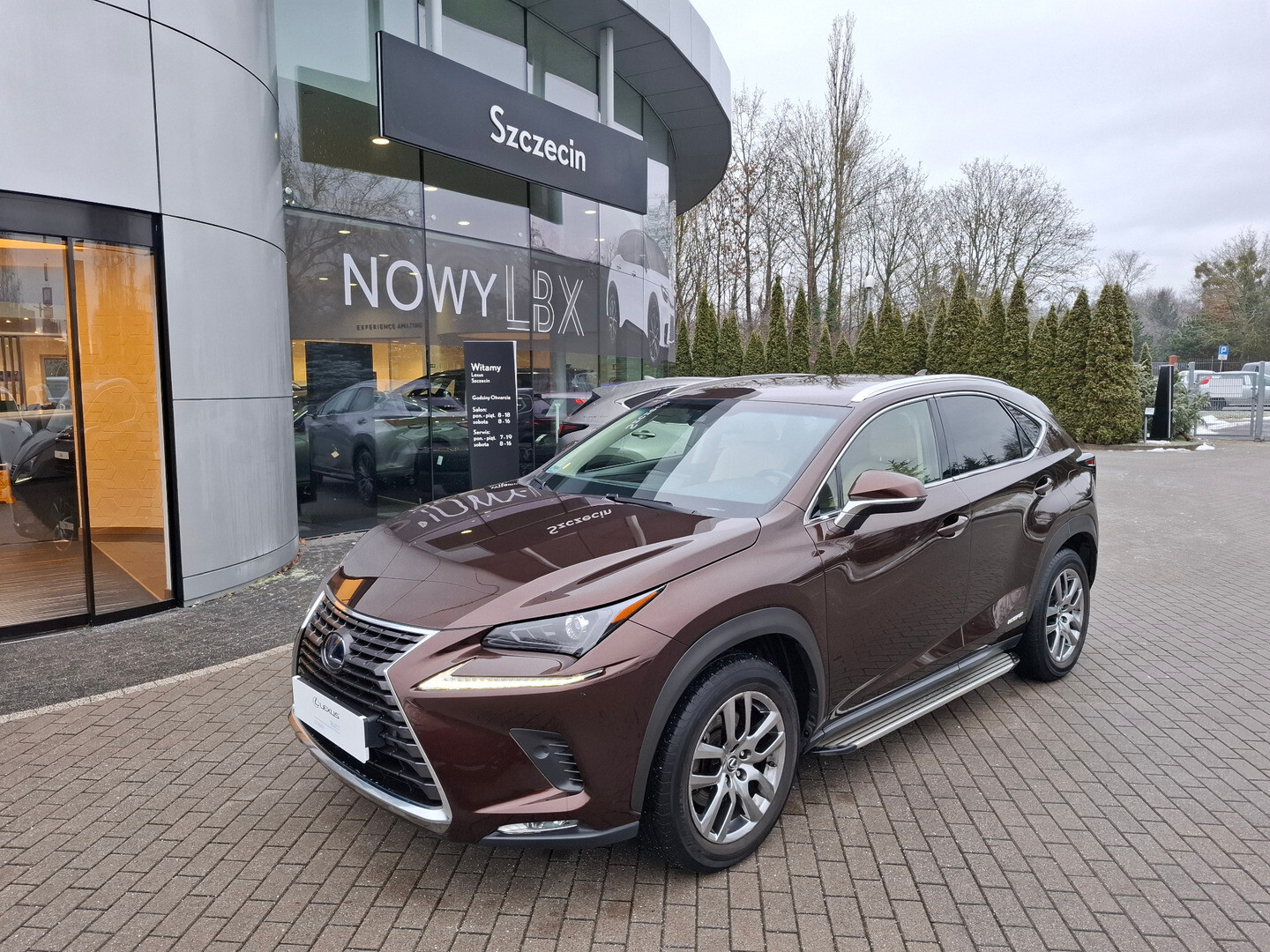 Lexus NX