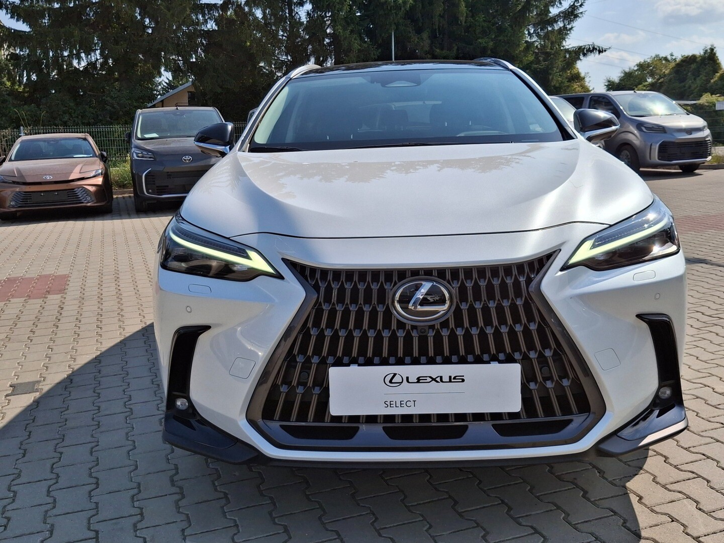 Lexus NX