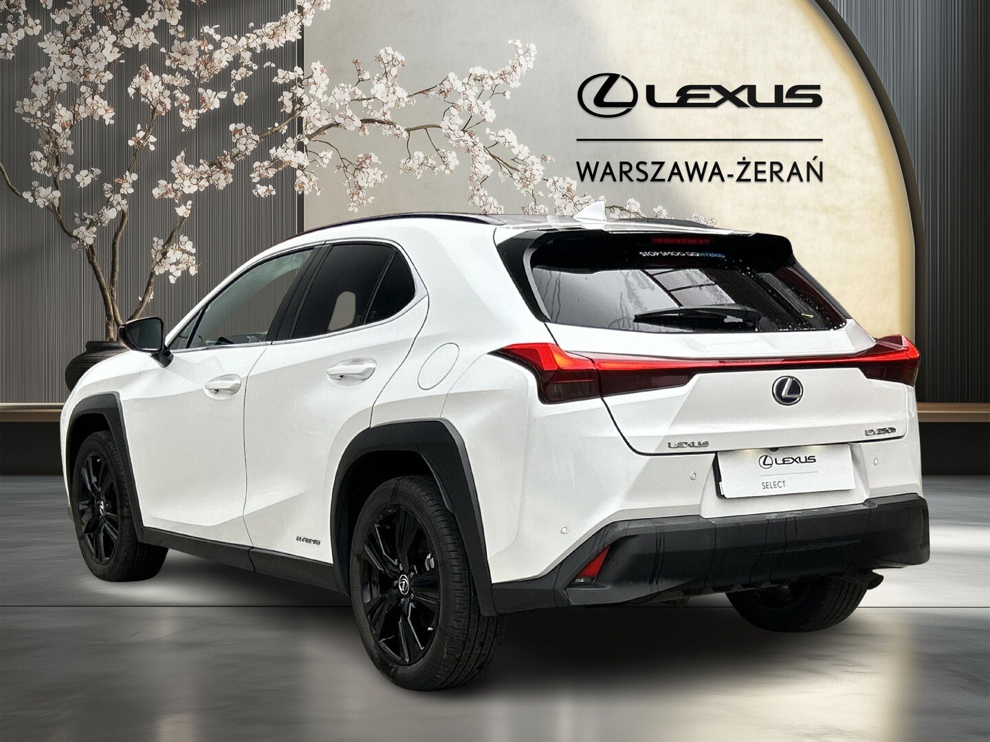 Lexus UX