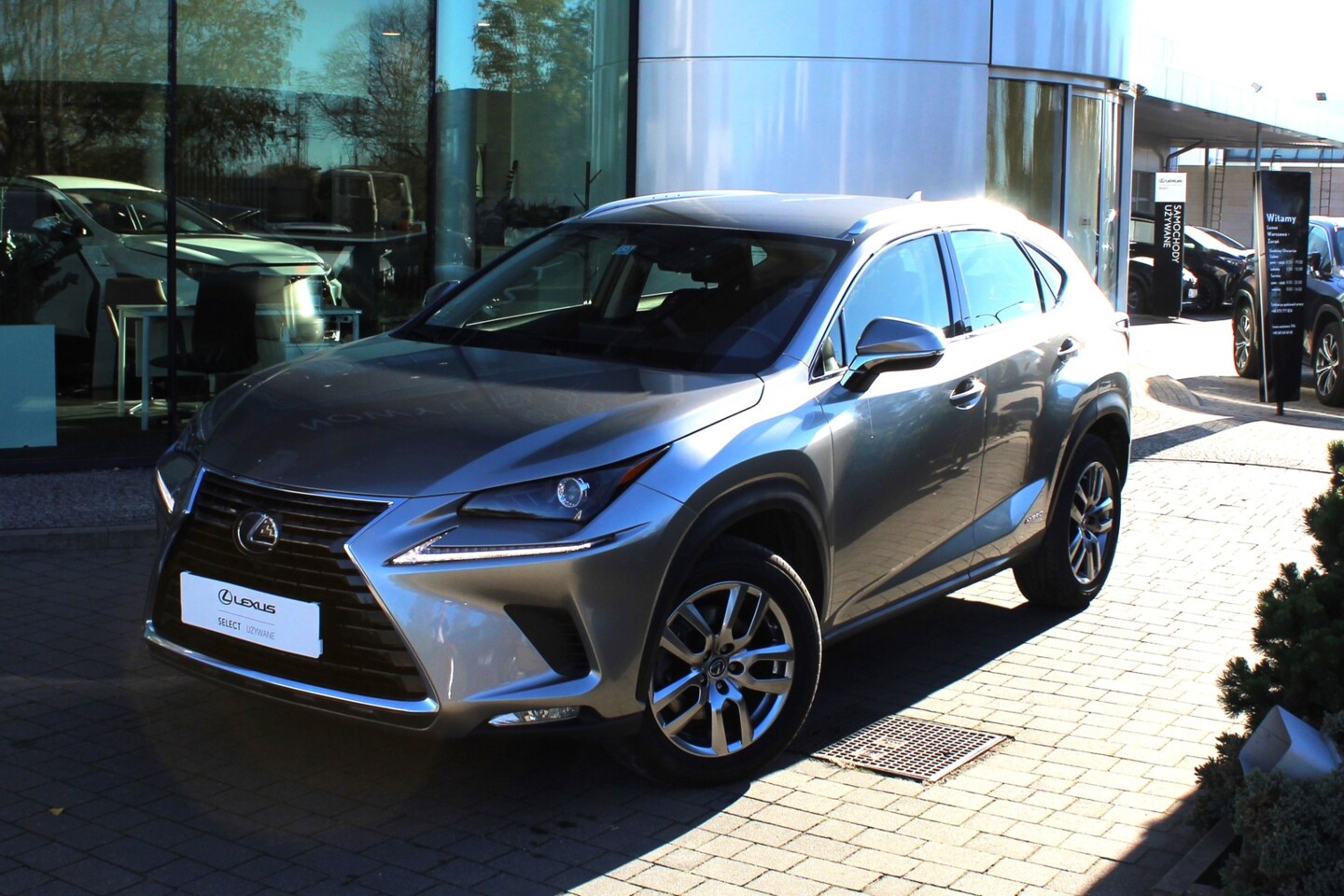 Lexus NX