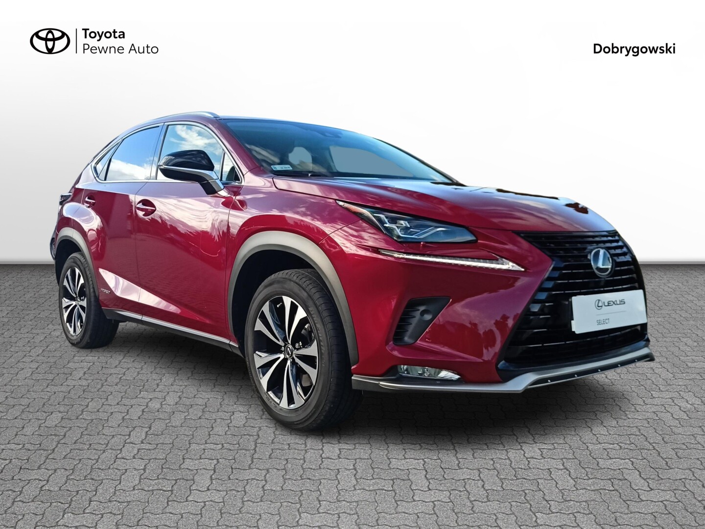 Lexus NX