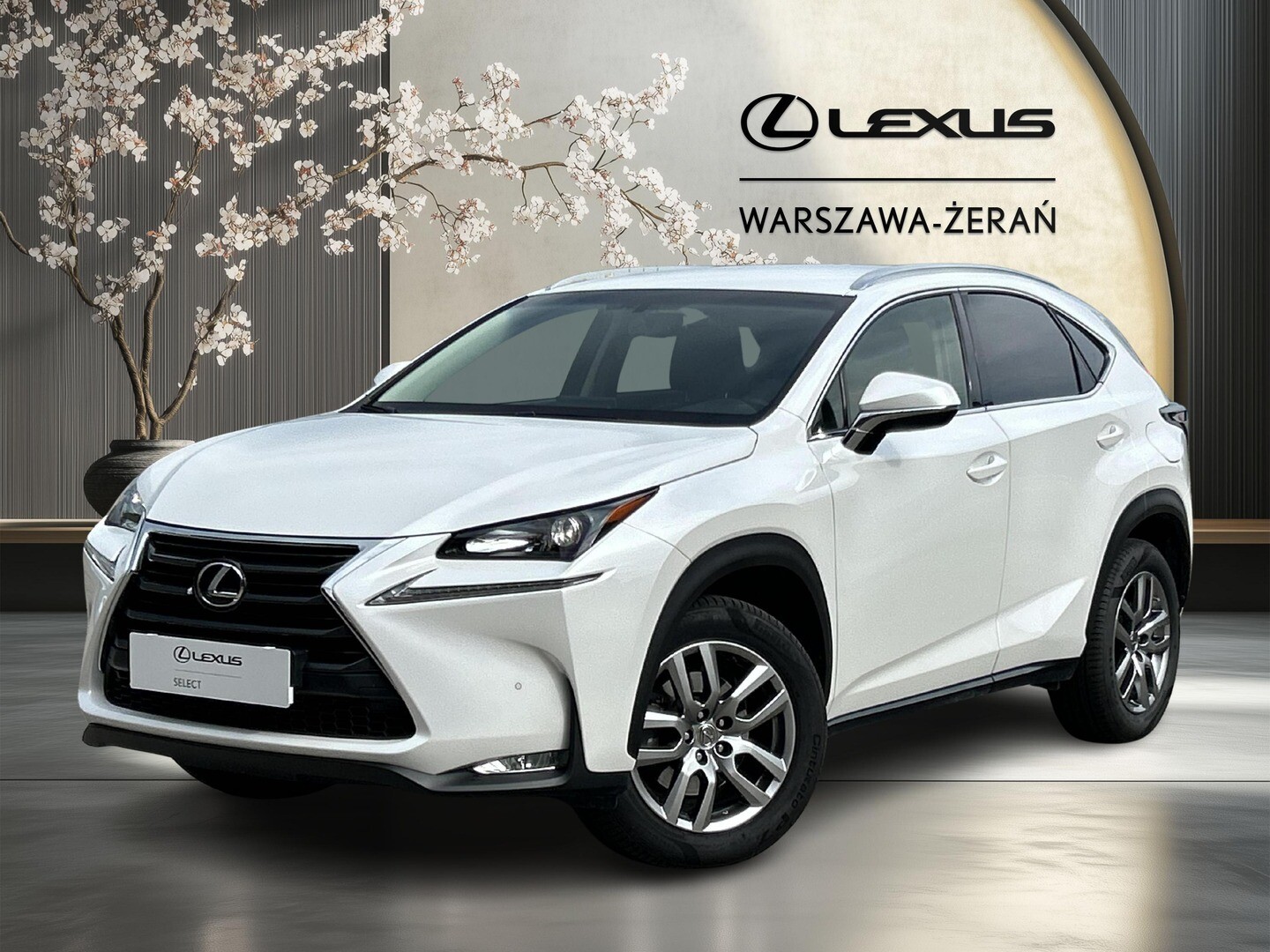Lexus NX