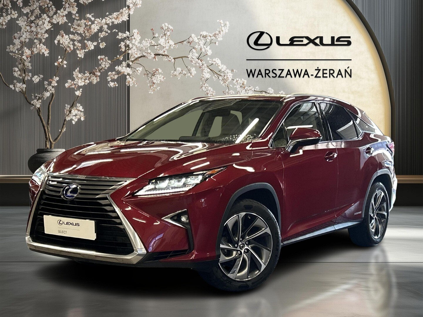 Lexus RX