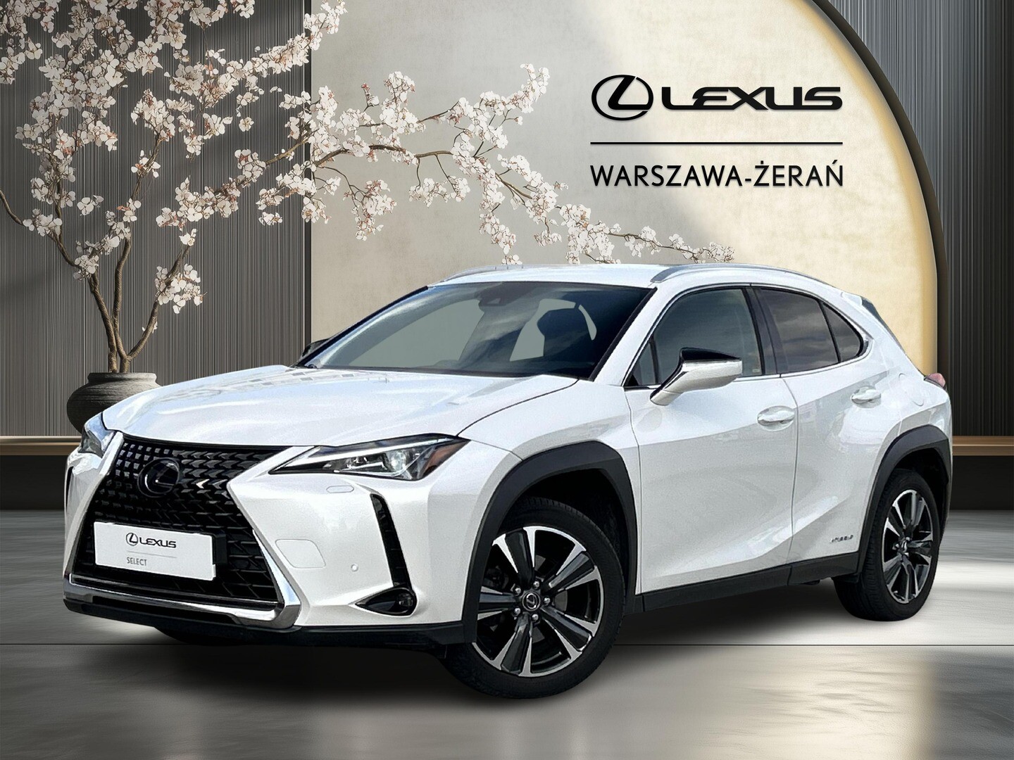 Lexus UX
