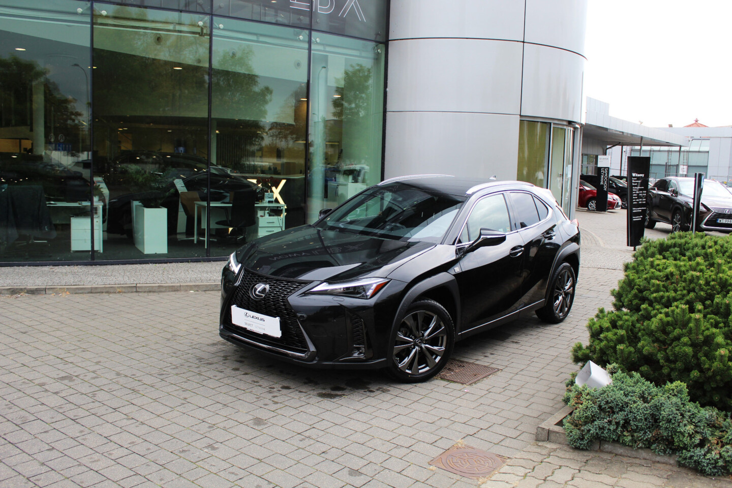 Lexus UX