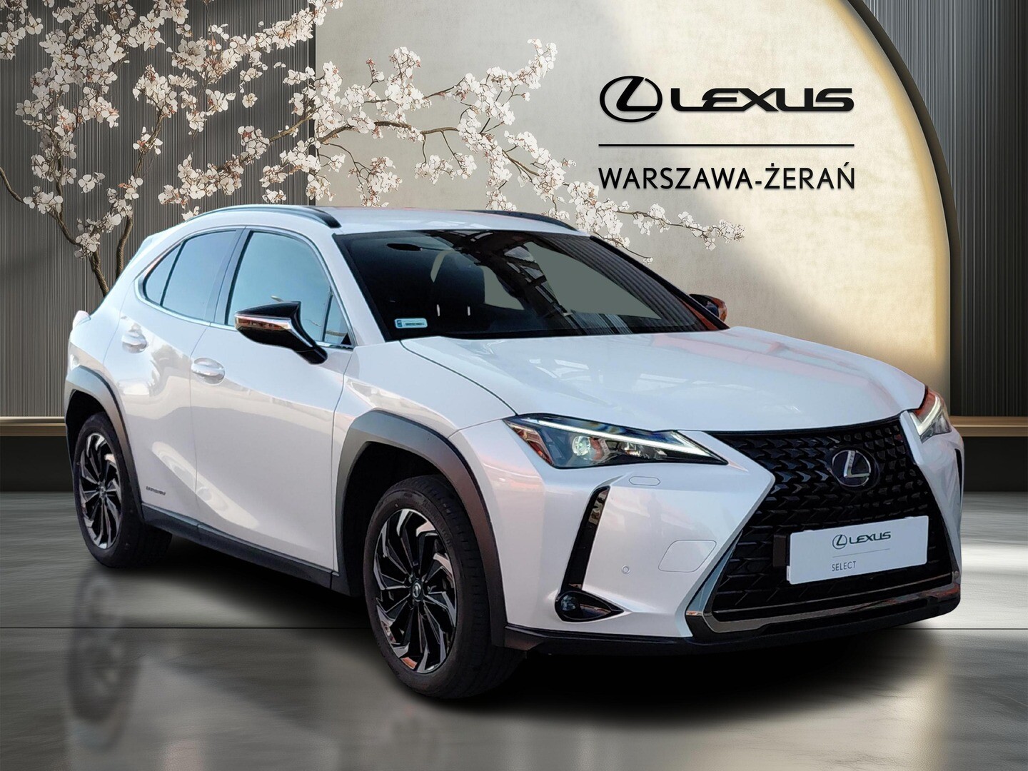 Lexus UX