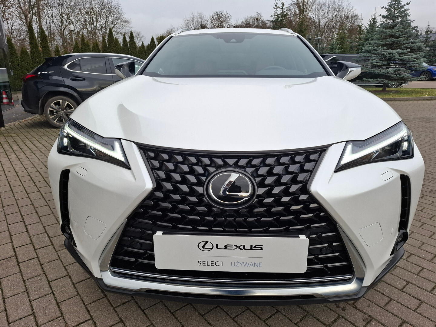 Lexus UX