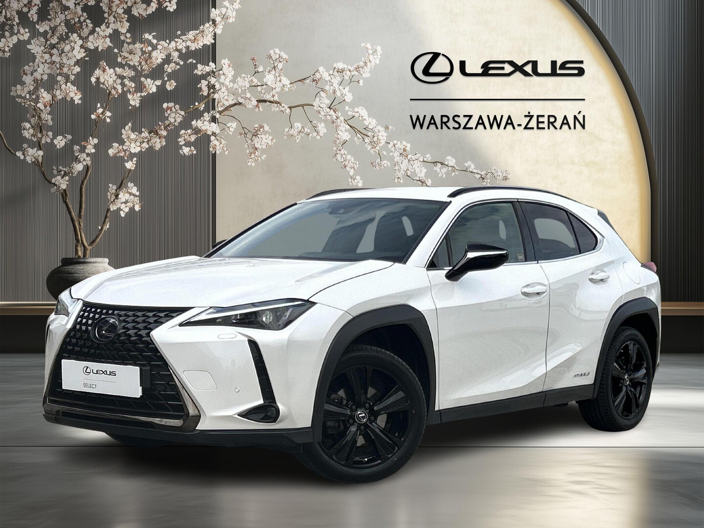 Lexus UX