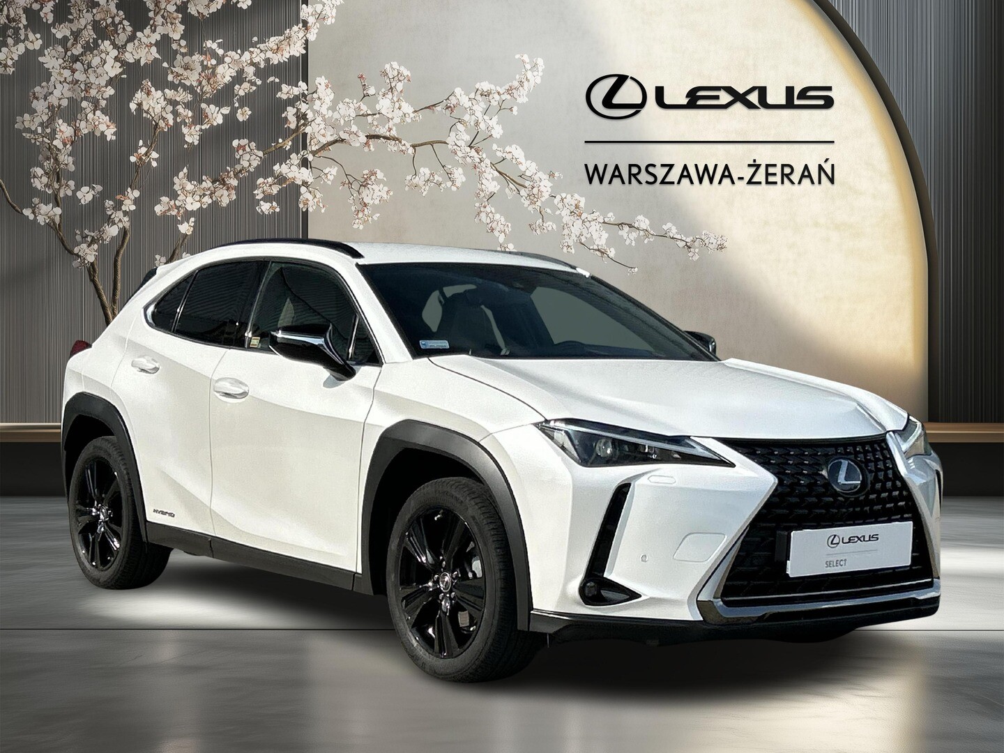 Lexus UX