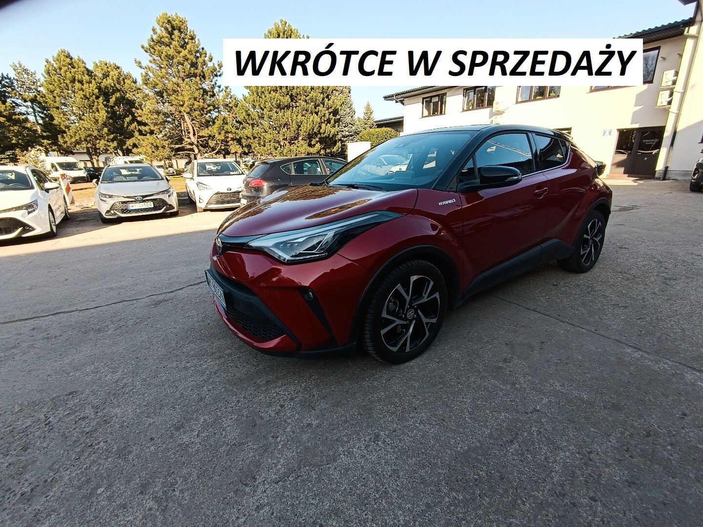 Toyota C-HR