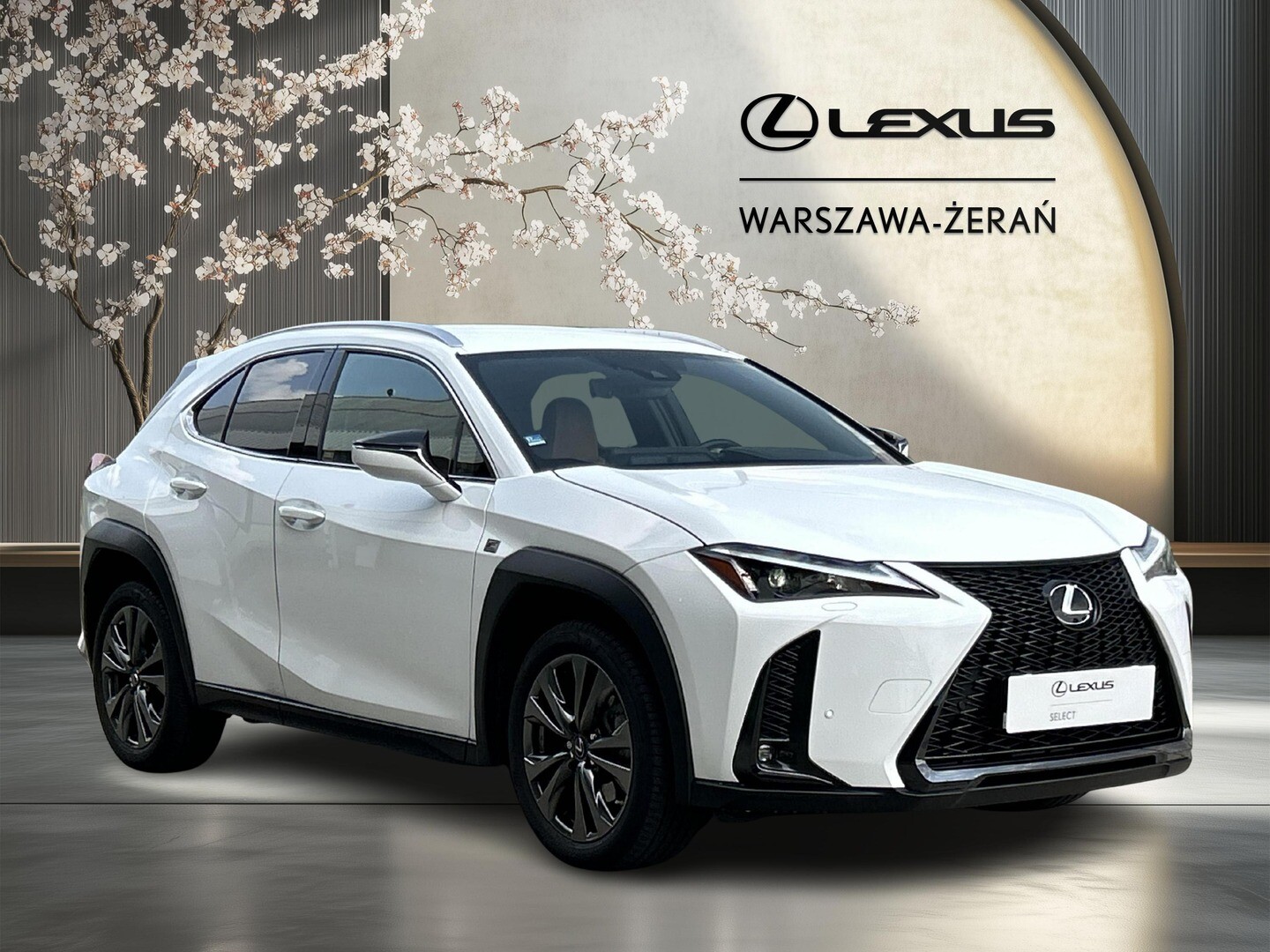Lexus UX
