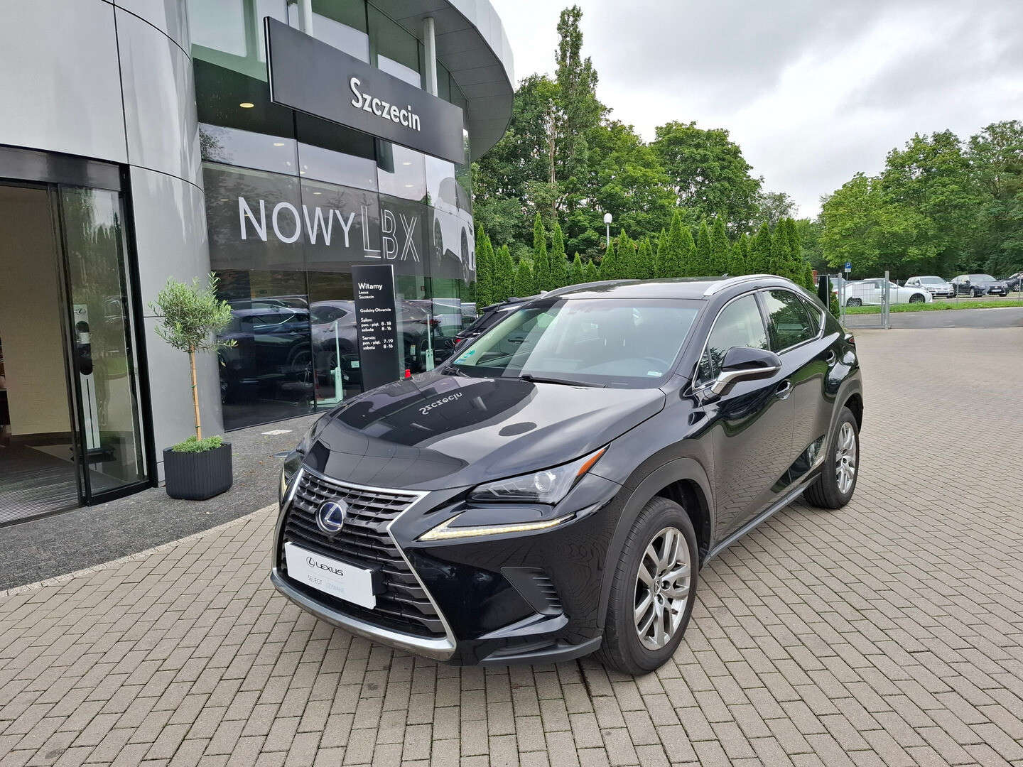 Lexus NX