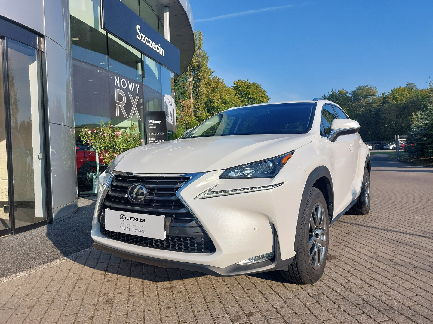 Lexus NX