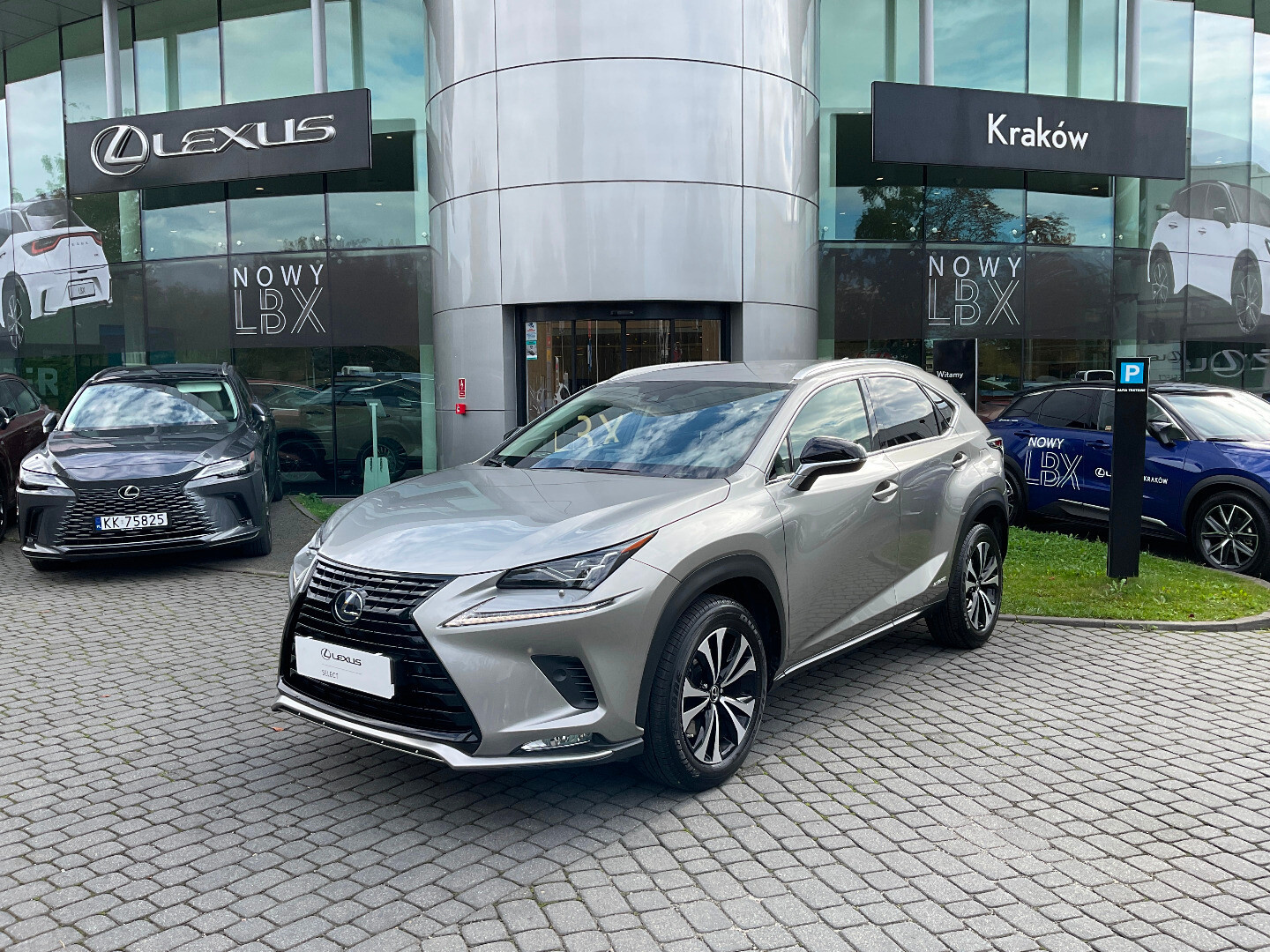 Lexus NX