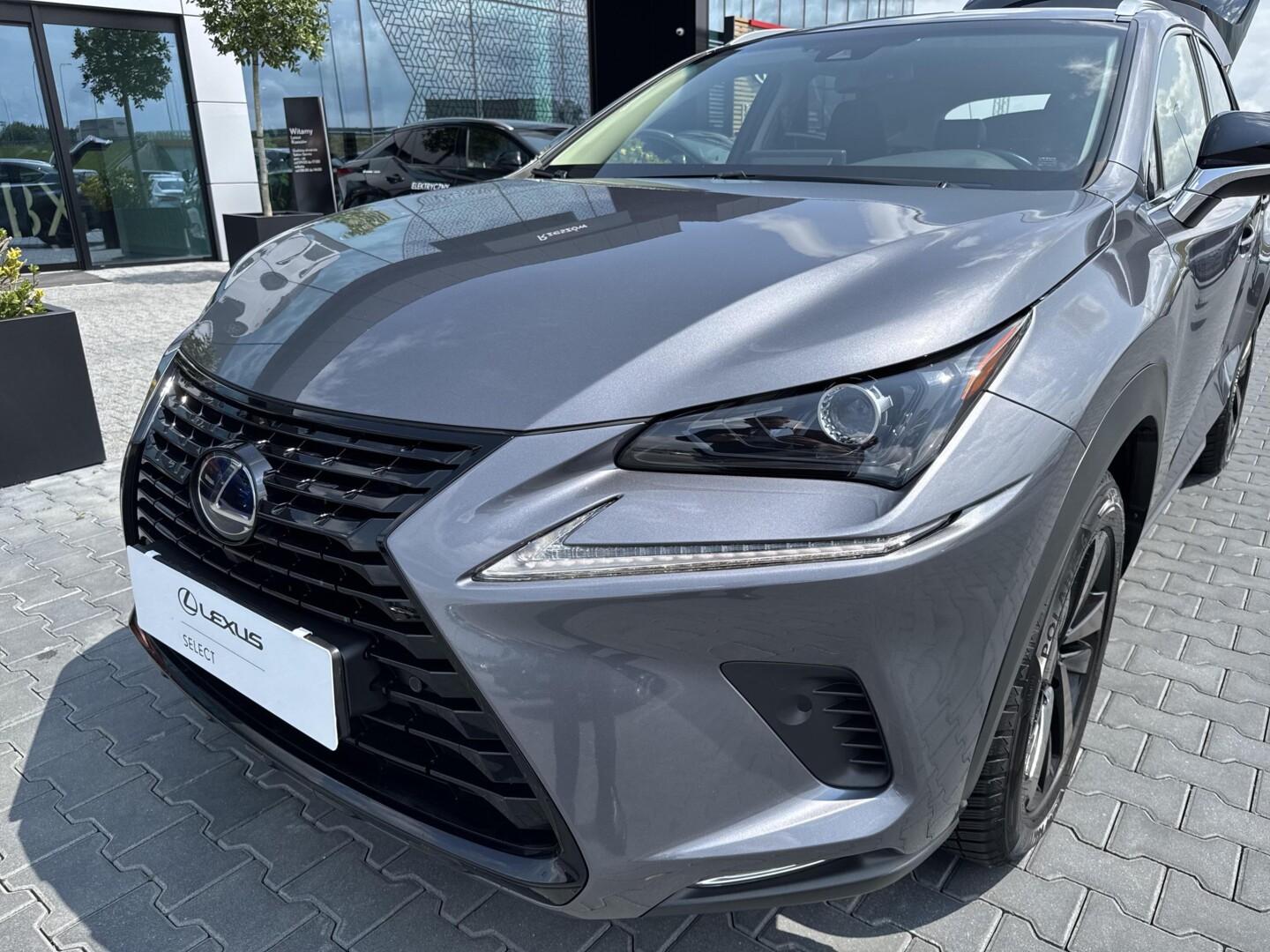 Lexus NX